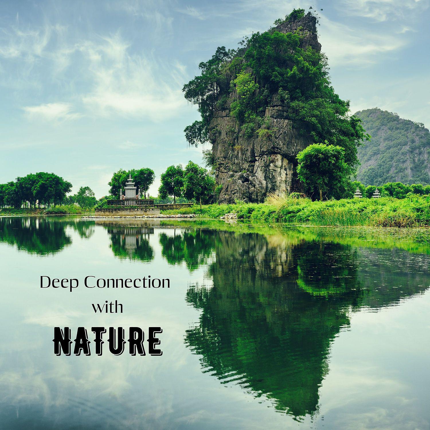 Постер альбома Deep Connection with Nature: Best Serenity Meditation Relaxation Music