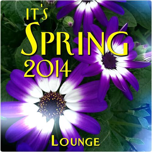 Maya Leah - Spring Flavour