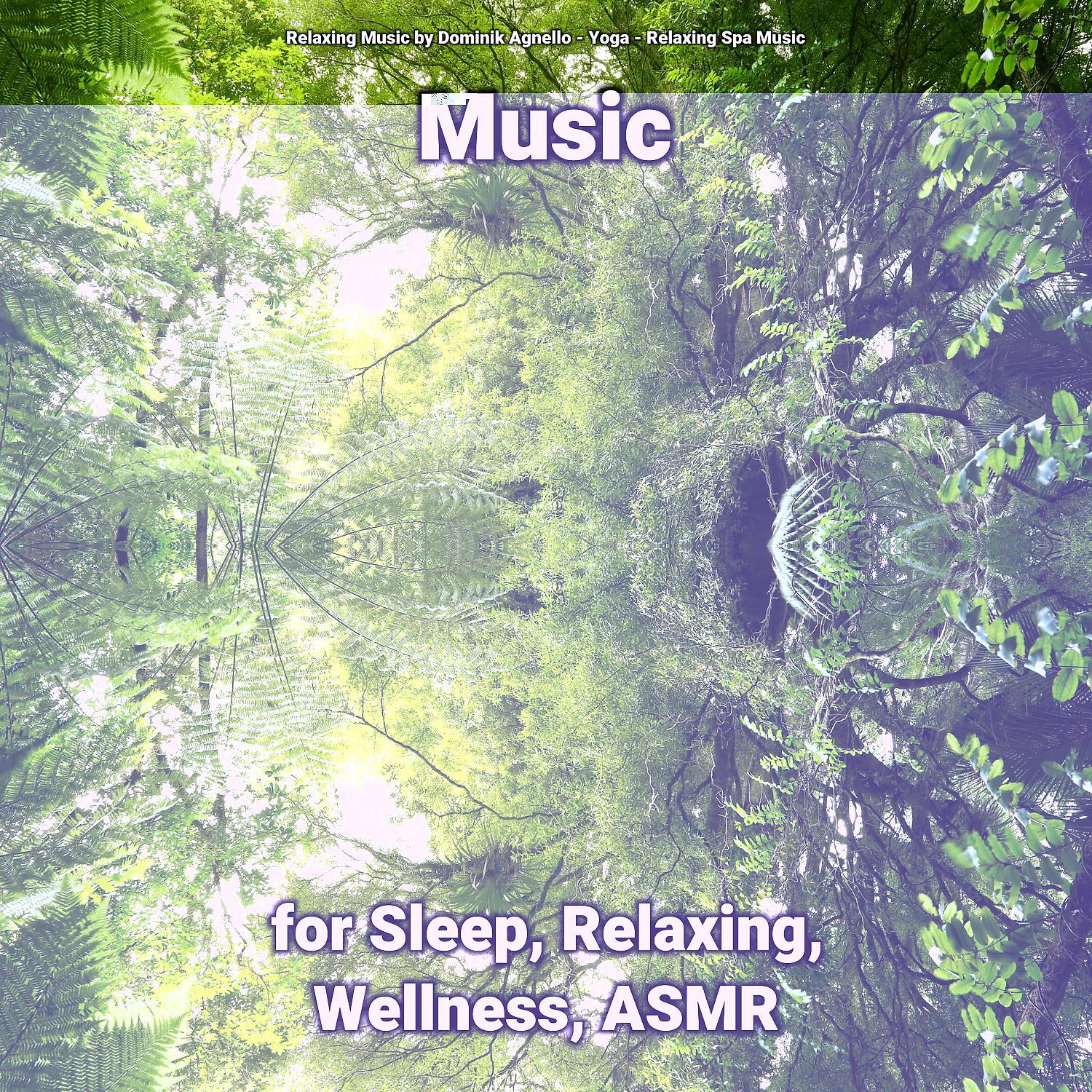 Постер альбома Music for Sleep, Relaxing, Wellness, ASMR