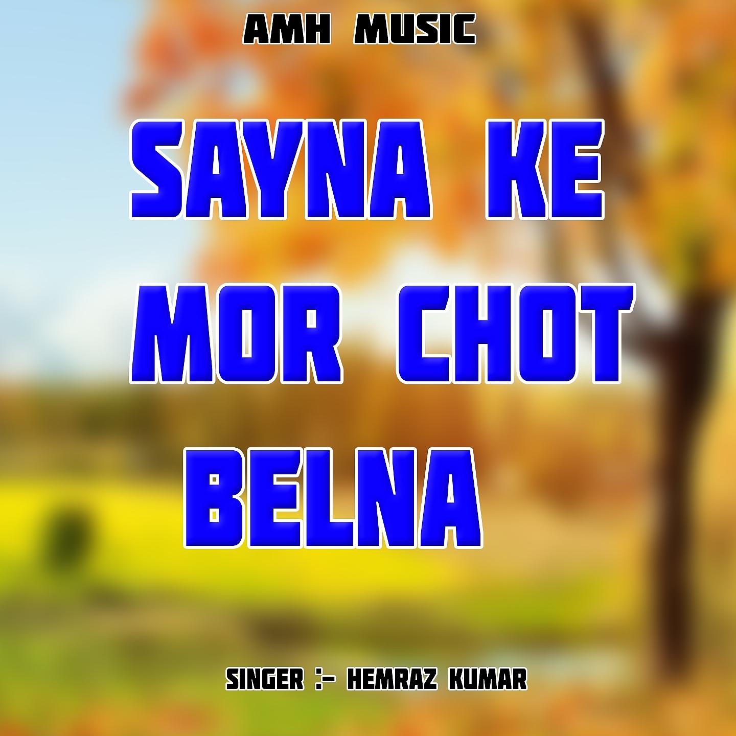 Постер альбома Sayna Ke Mor Chot Belna