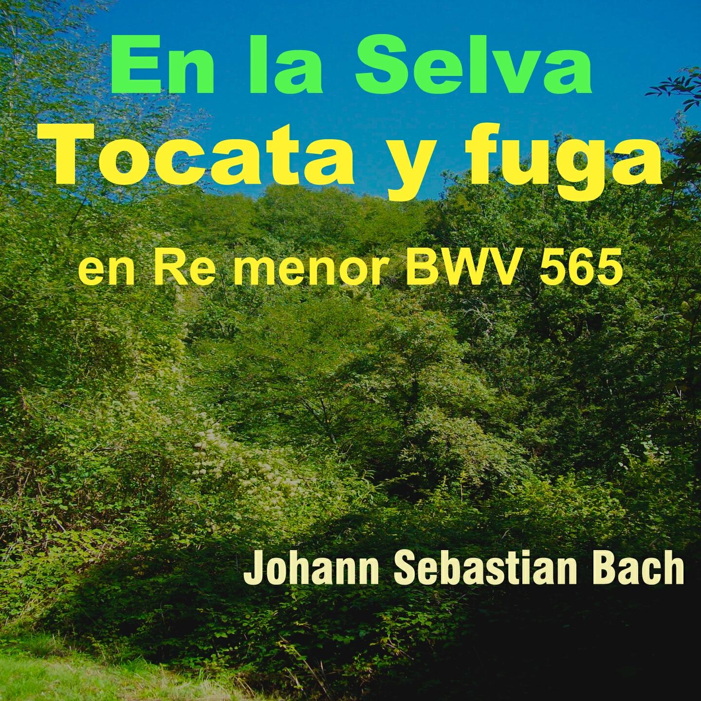 Angel Antonio González - Tocata y Fuga in D Minor, BWV 565 (En la Selva Version)