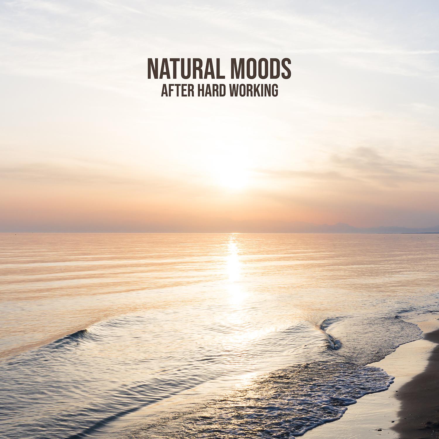 Постер альбома Natural Moods After Hard Working: Meditation with Nature, Sounds Reducing Stress & Anxiety, Healing Frequencies