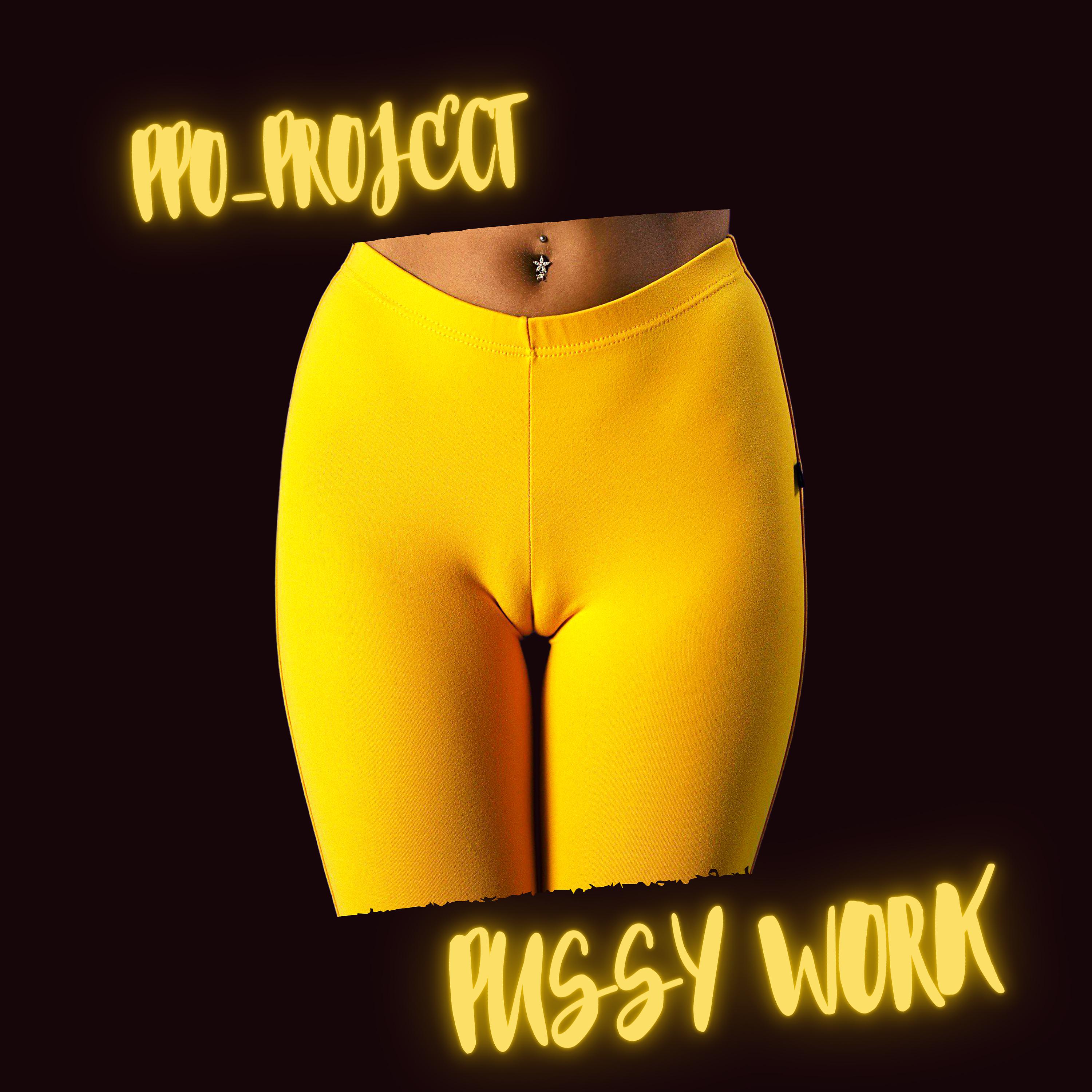 Постер альбома Pussy Work
