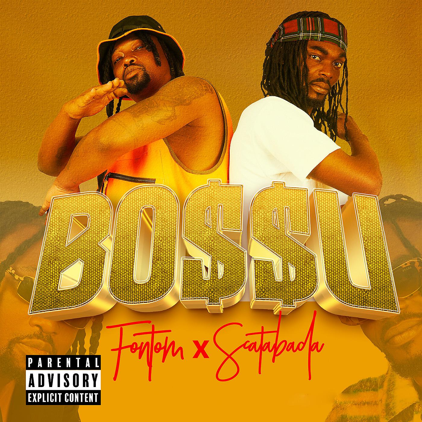 Постер альбома Bossu