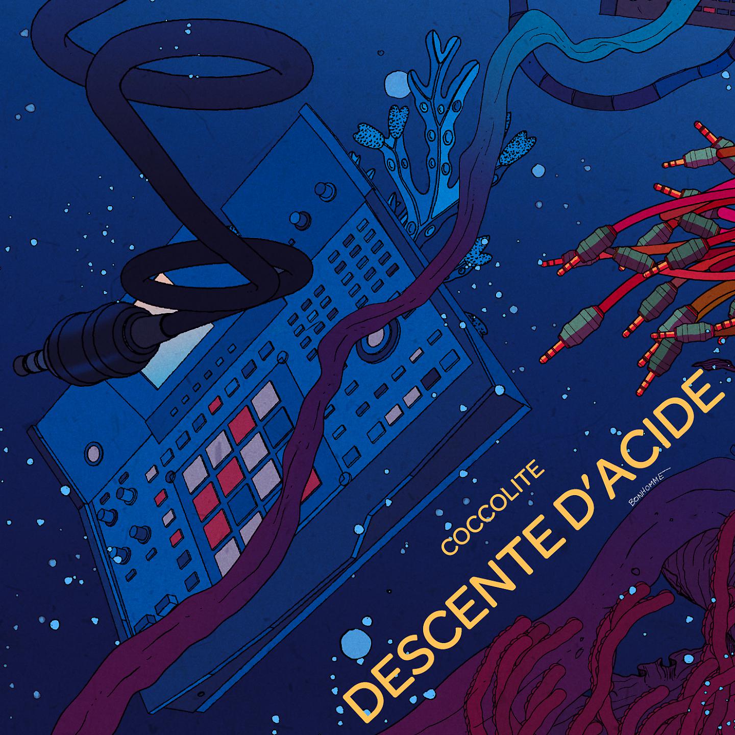 Постер альбома Descente d'acide