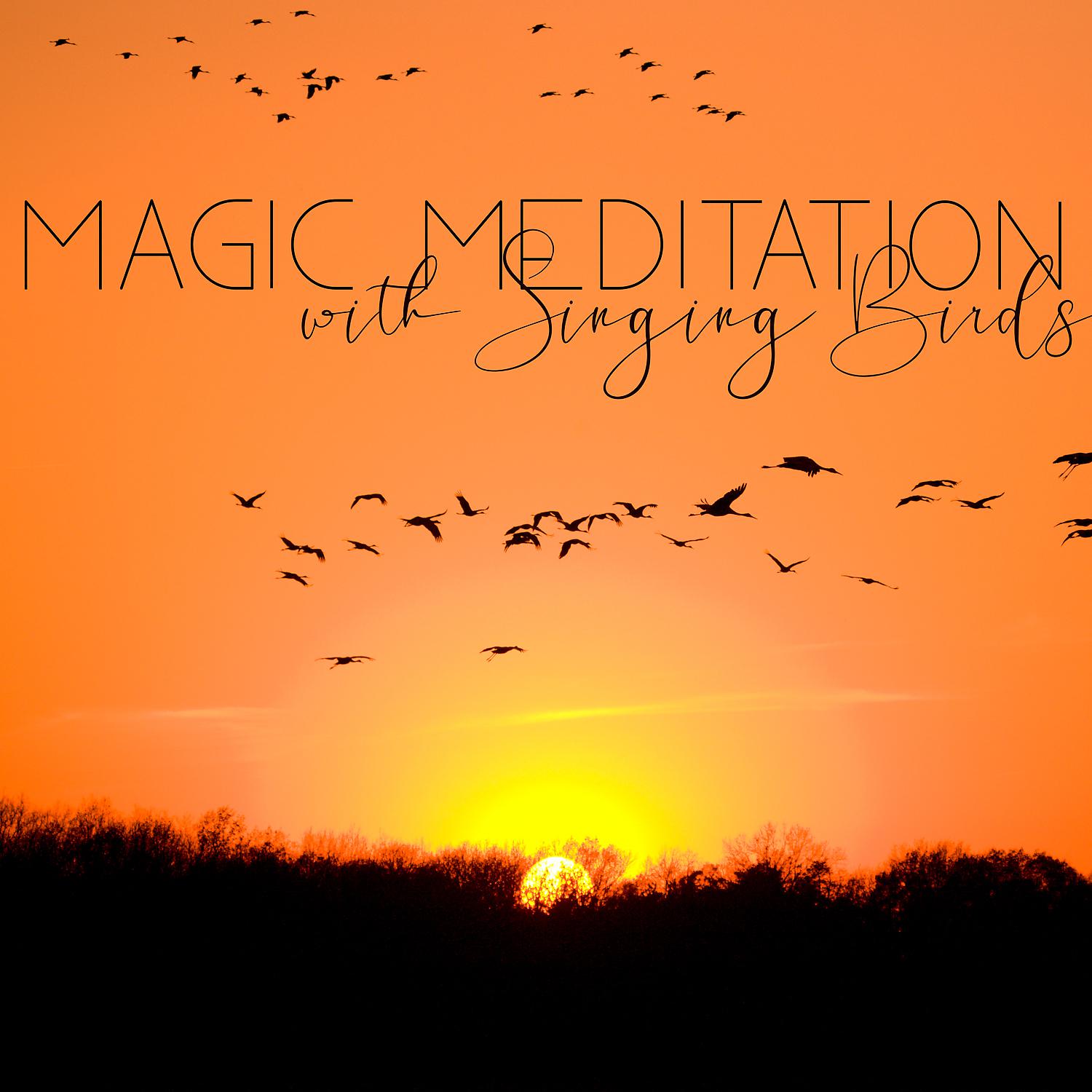 Постер альбома Magic Meditation with Singing Birds. New Age Music that Stimulates Fantasy