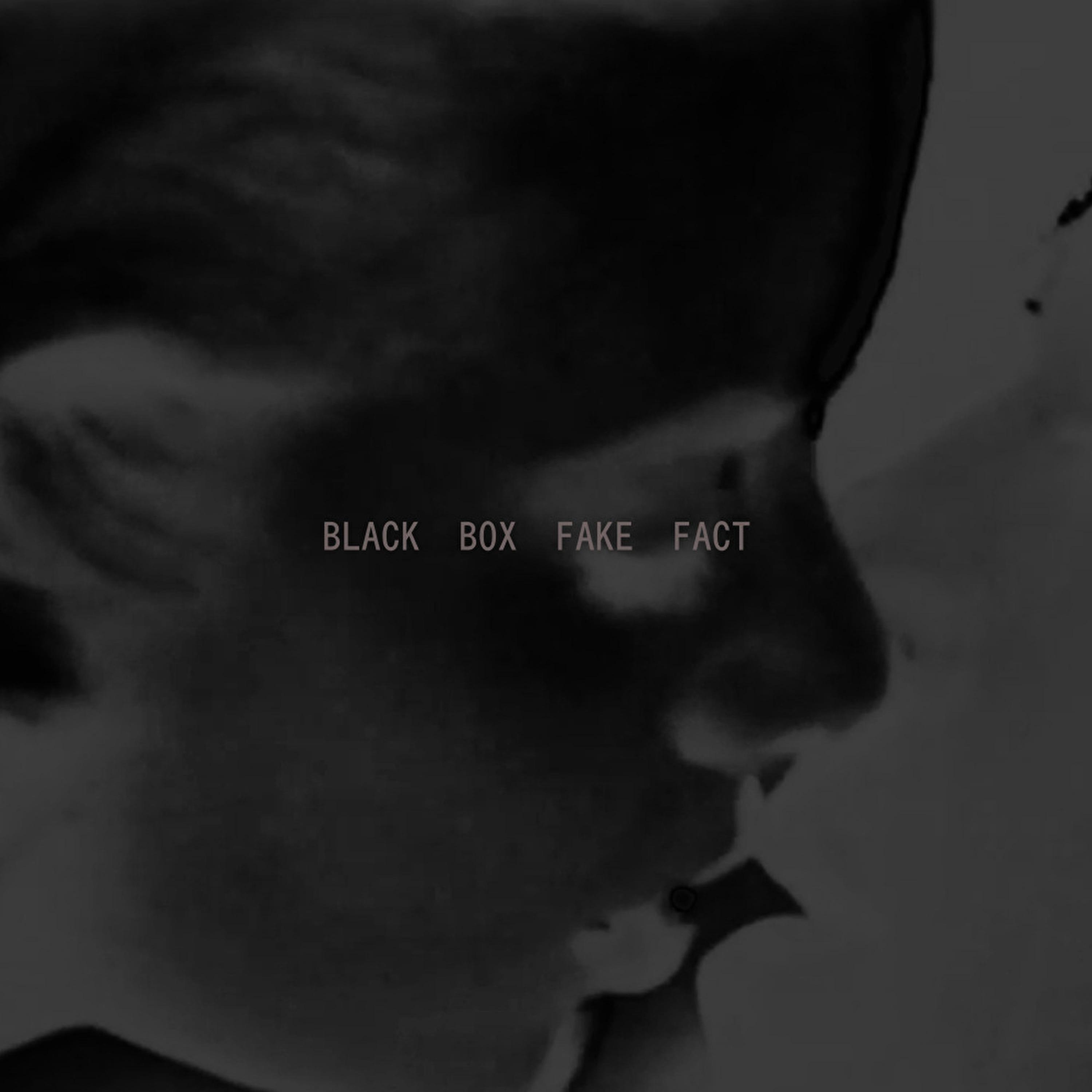 Постер альбома BLACK BOX FAKE FACT