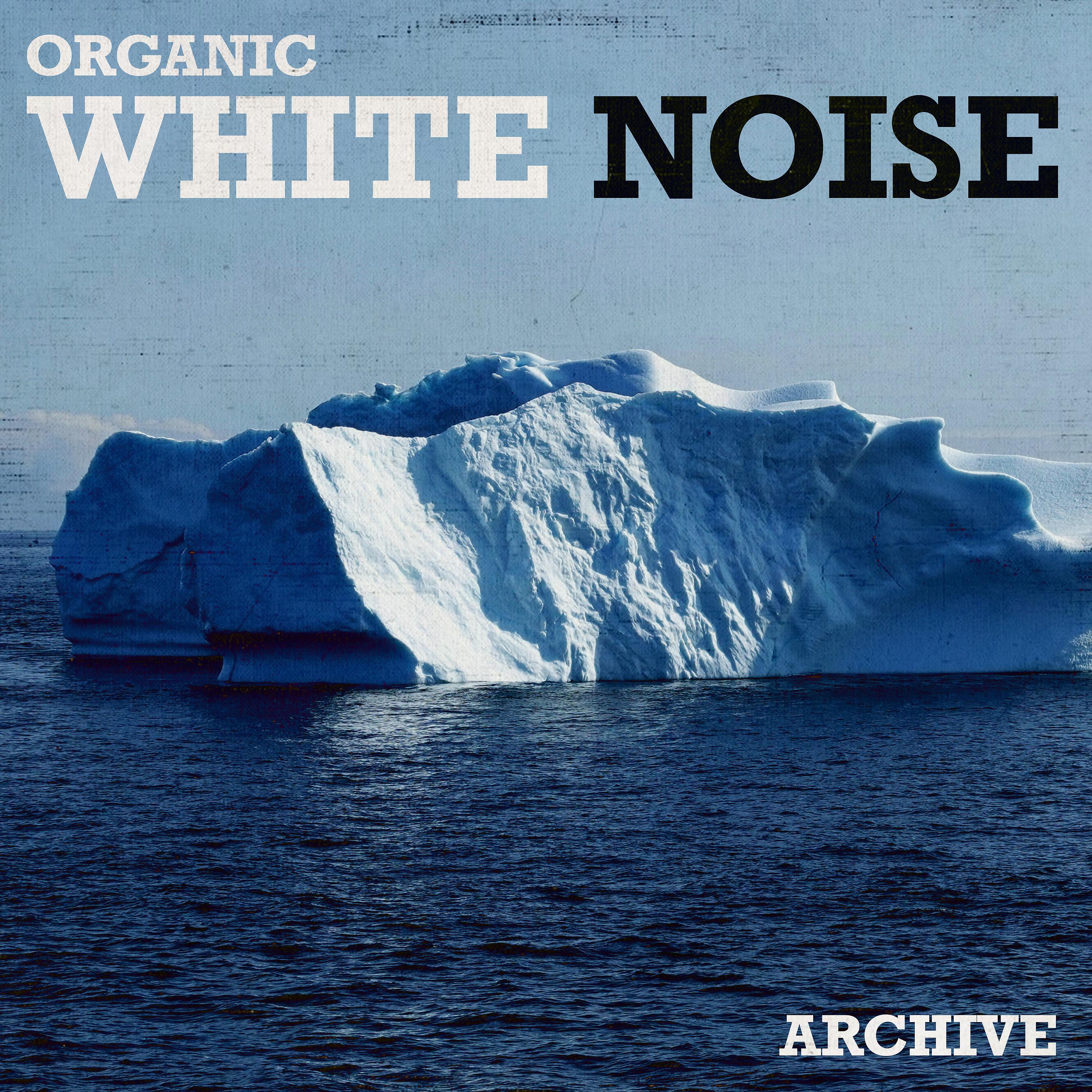 Постер альбома The Organic White Noise Archive