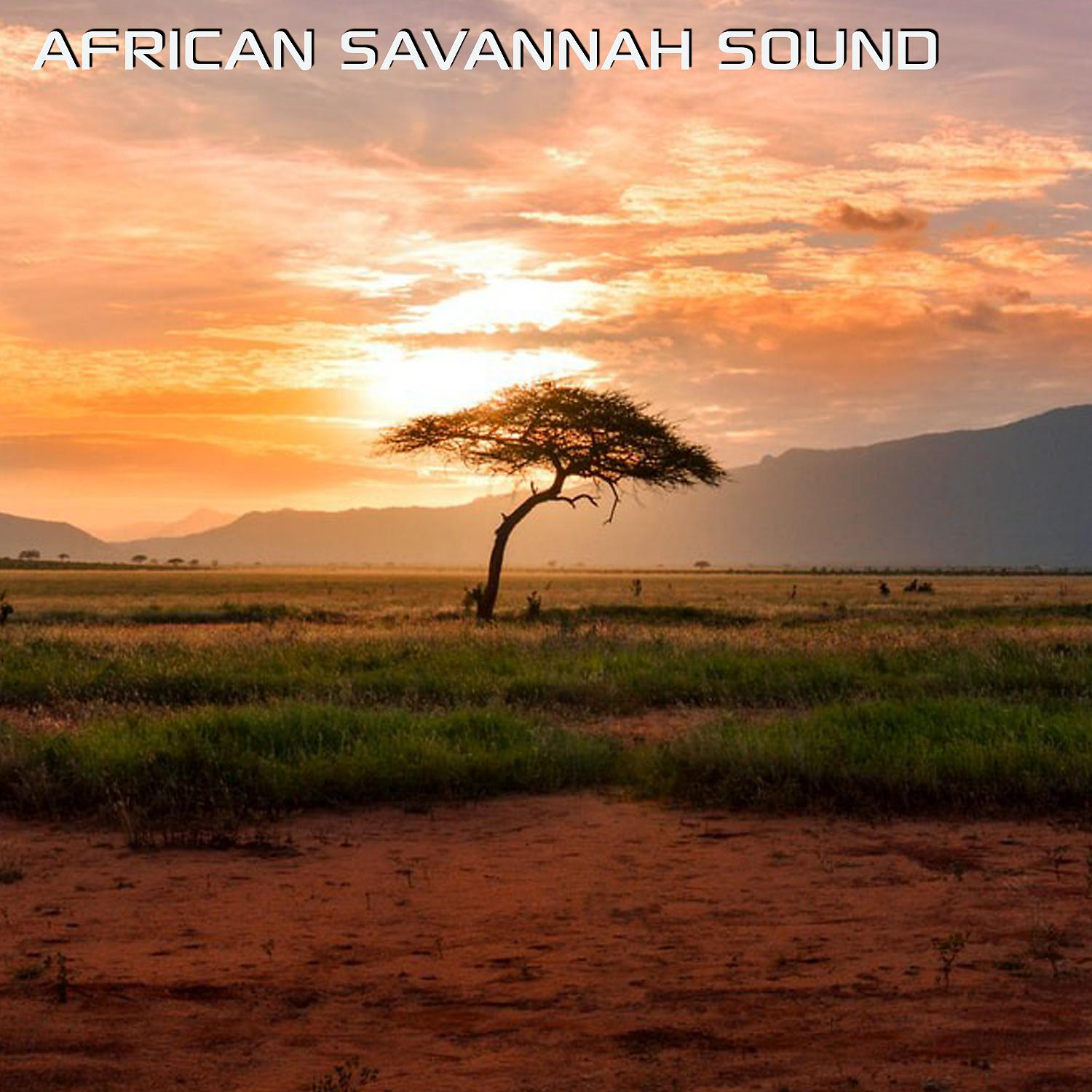 Постер альбома African Savannah Sound (feat. Atmosphere Soundscapes, Discovery Africa Sounds, Discovery Nature Sound & Soothing Nature Sounds)