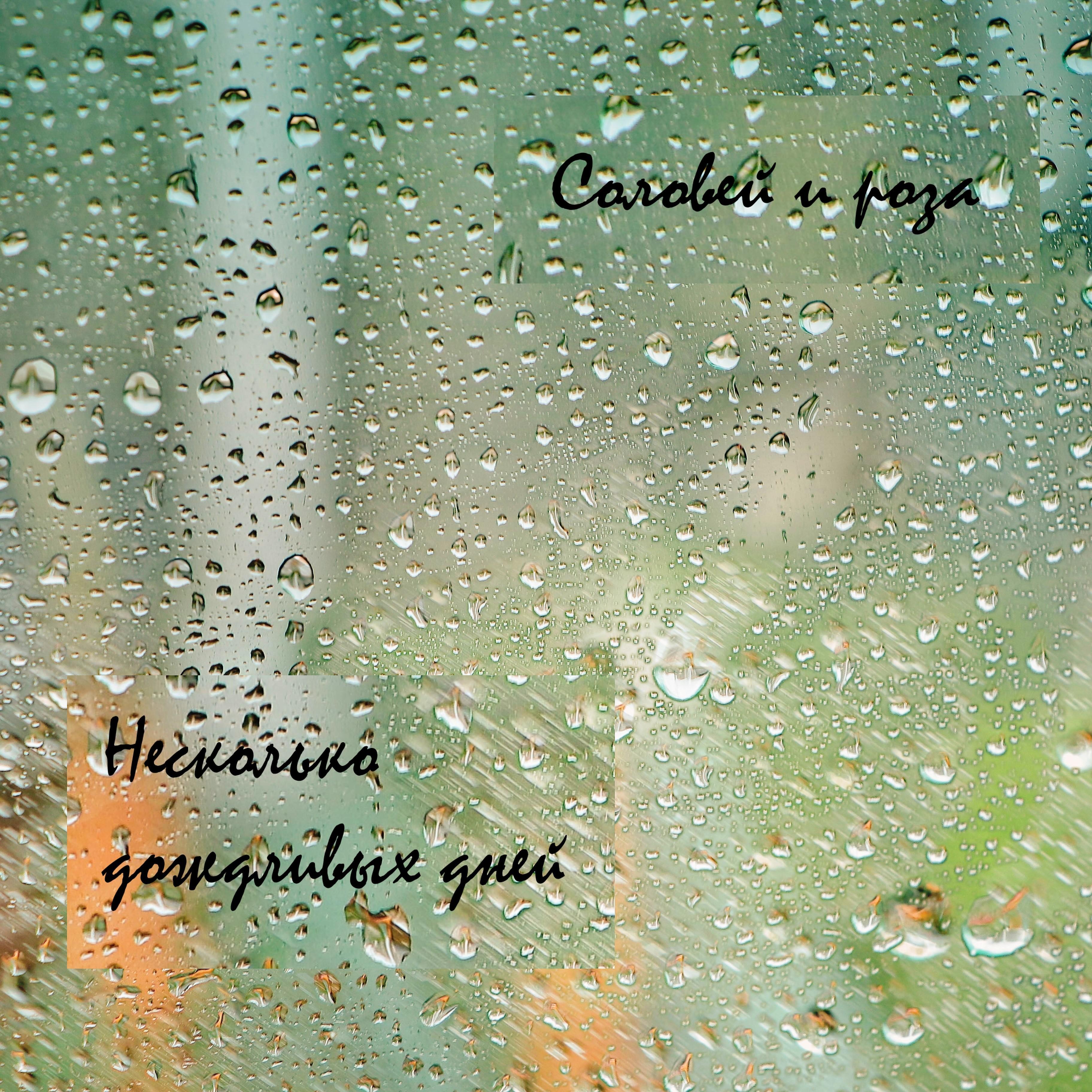 Постер альбома Несколько дождливых дней