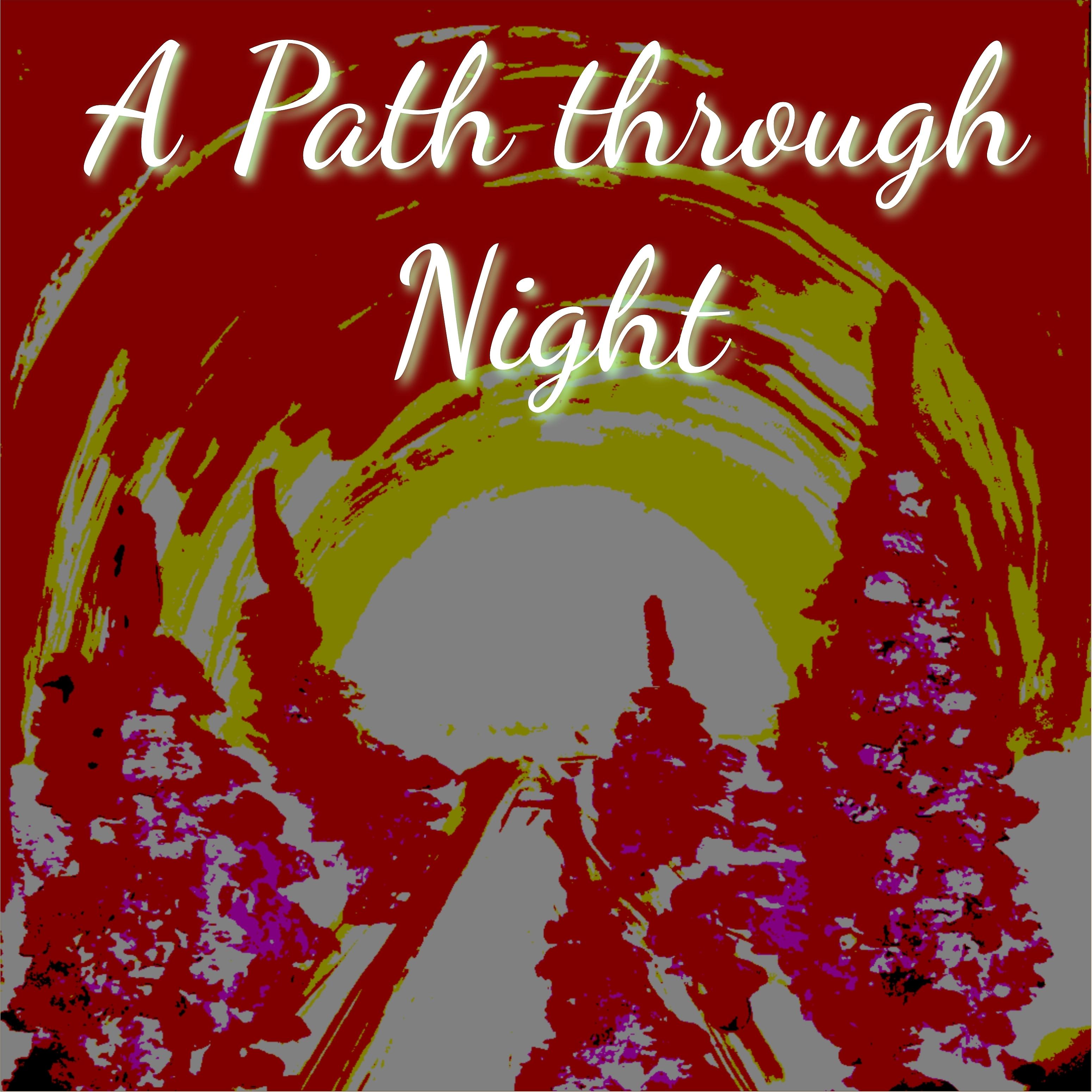 Постер альбома A Path Through Night