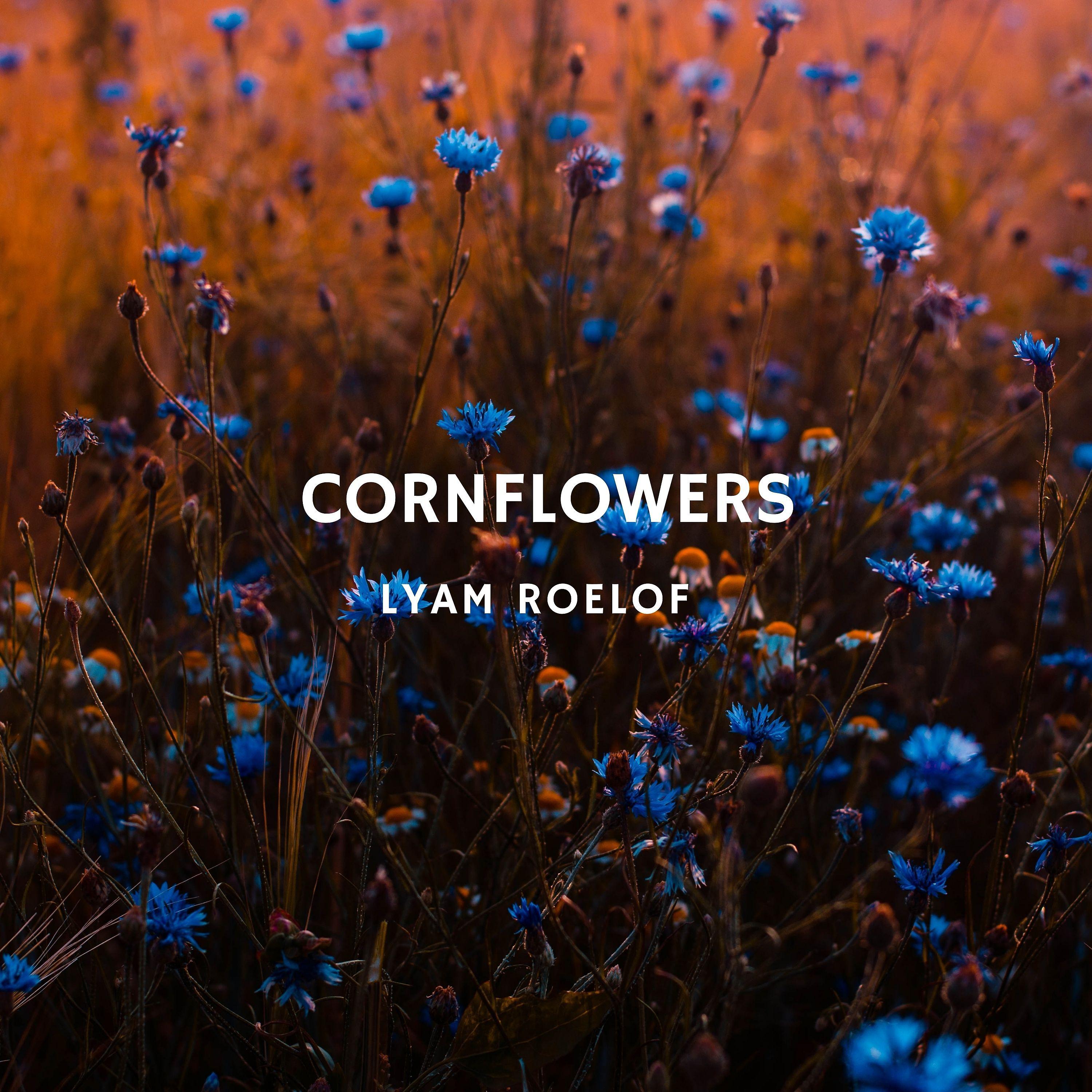 Постер альбома Cornflowers
