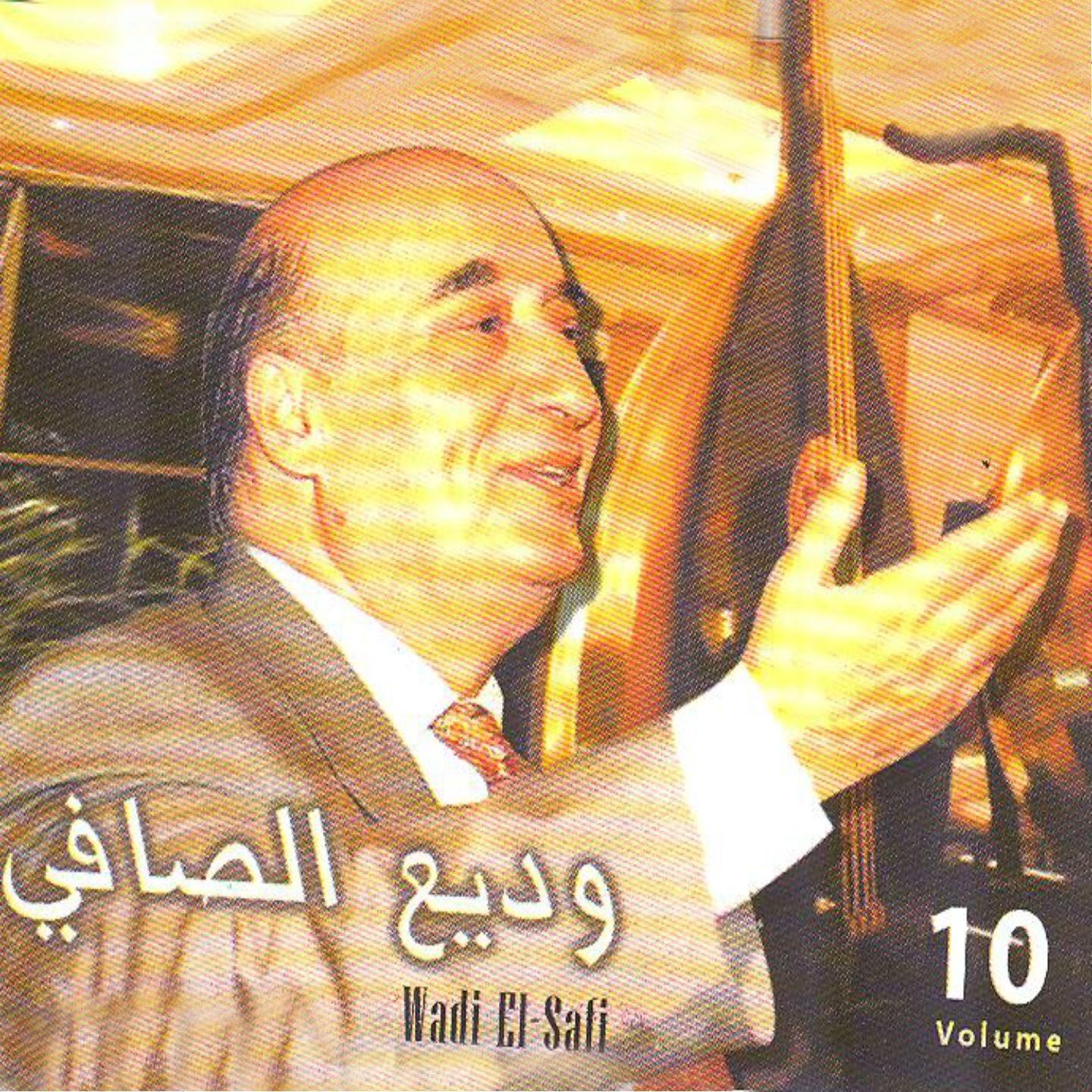 Постер альбома Wadi El Safi, Vol. 10