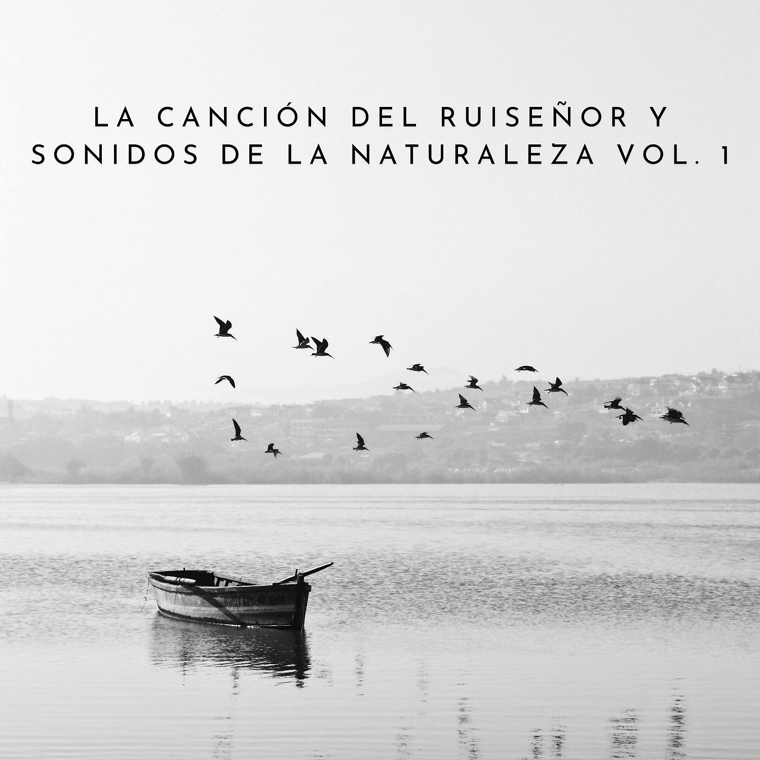 Постер альбома La Canción Del Ruiseñor Y Sonidos De La Naturaleza Vol. 1