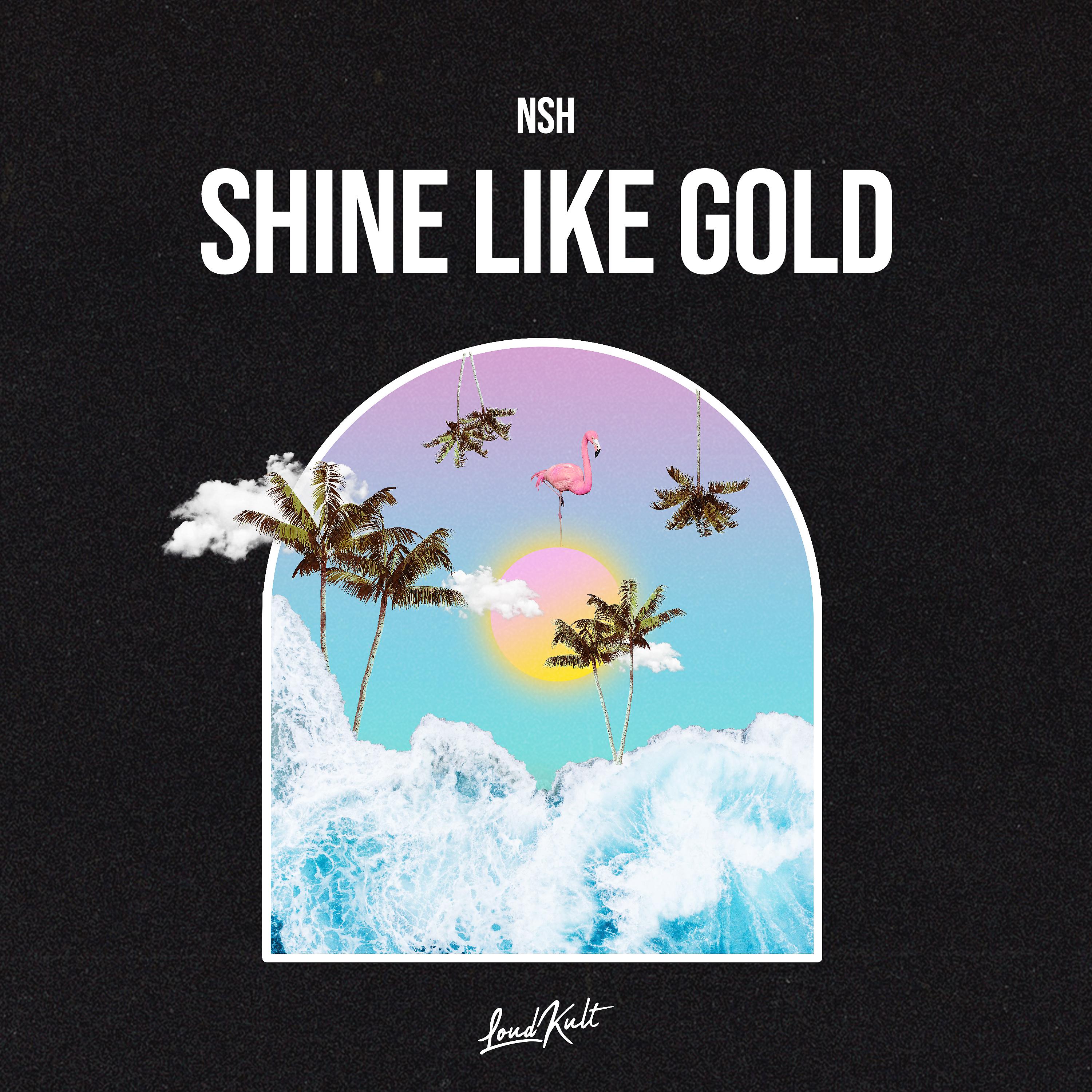 Постер альбома Shine Like Gold