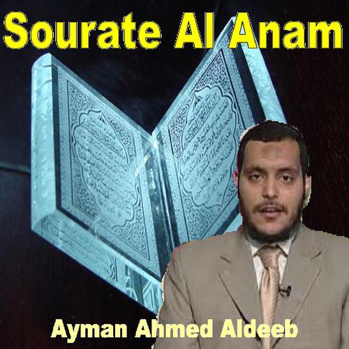 Постер альбома Sourate Al Anam