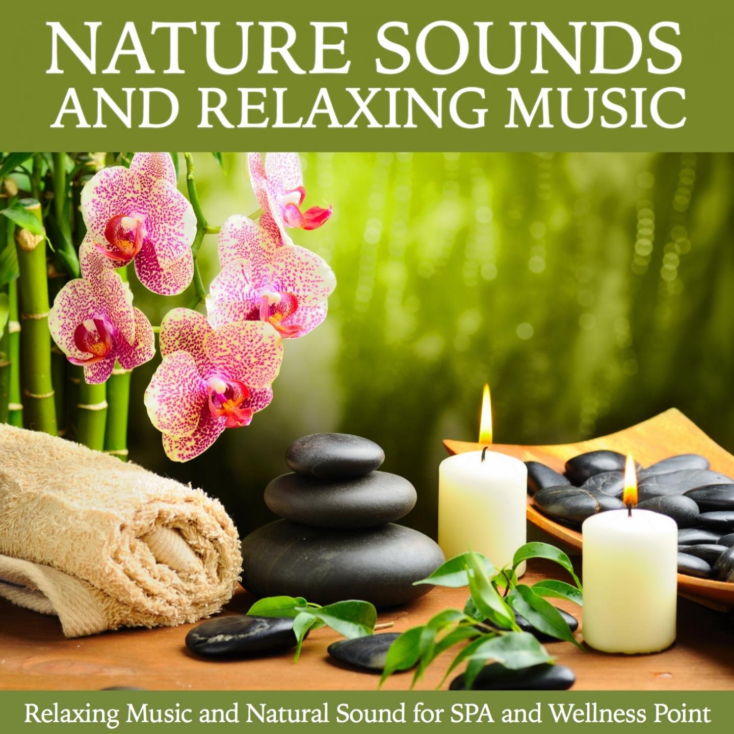 Постер альбома Nature Sound and Music Relaxation