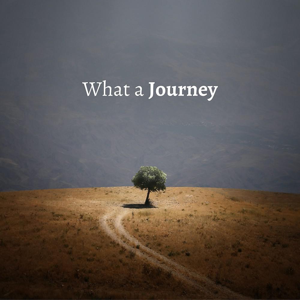Постер альбома What a Journey