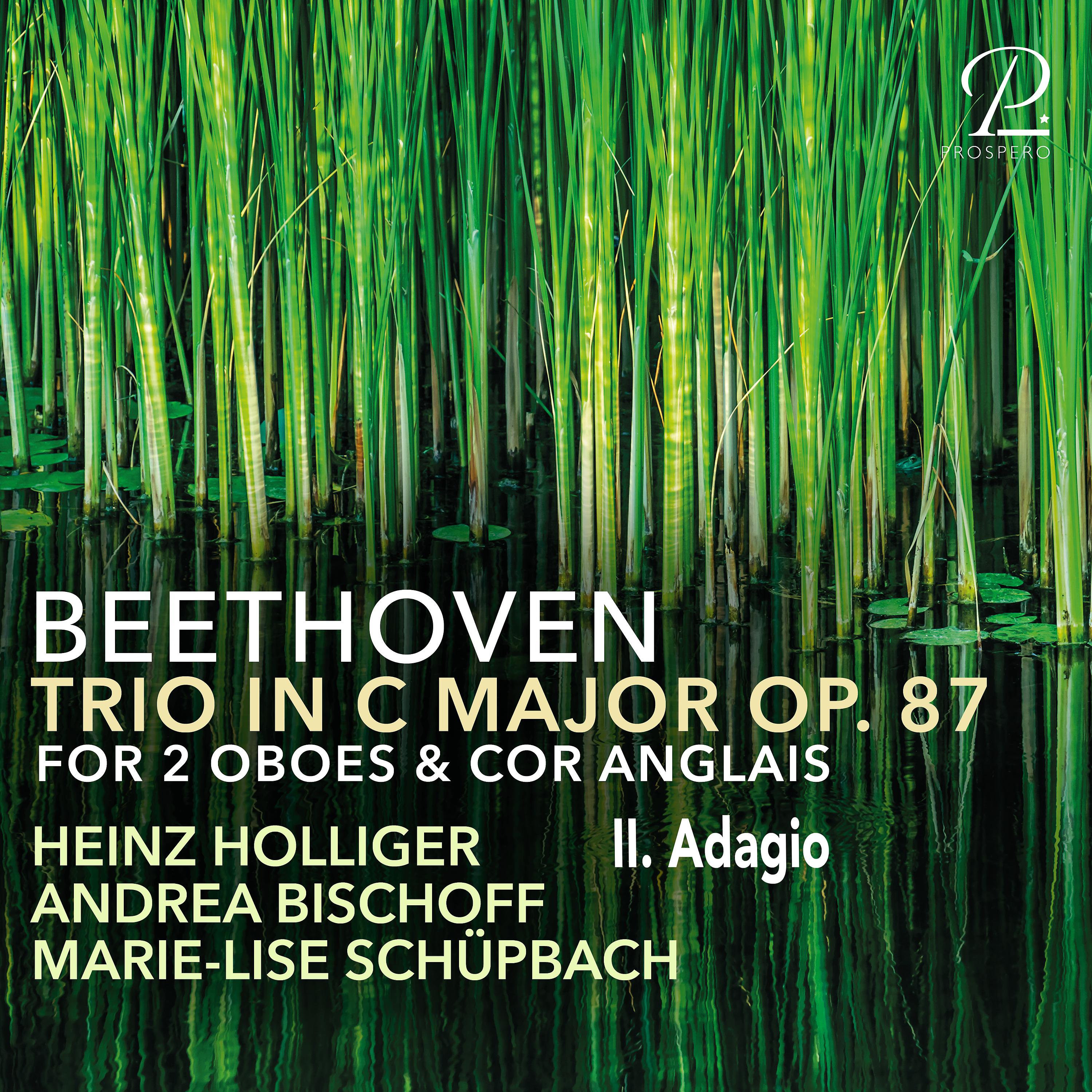 Постер альбома Trio for 2 Oboes & Cor Anglais in C Major, Op. 87: II. Adagio