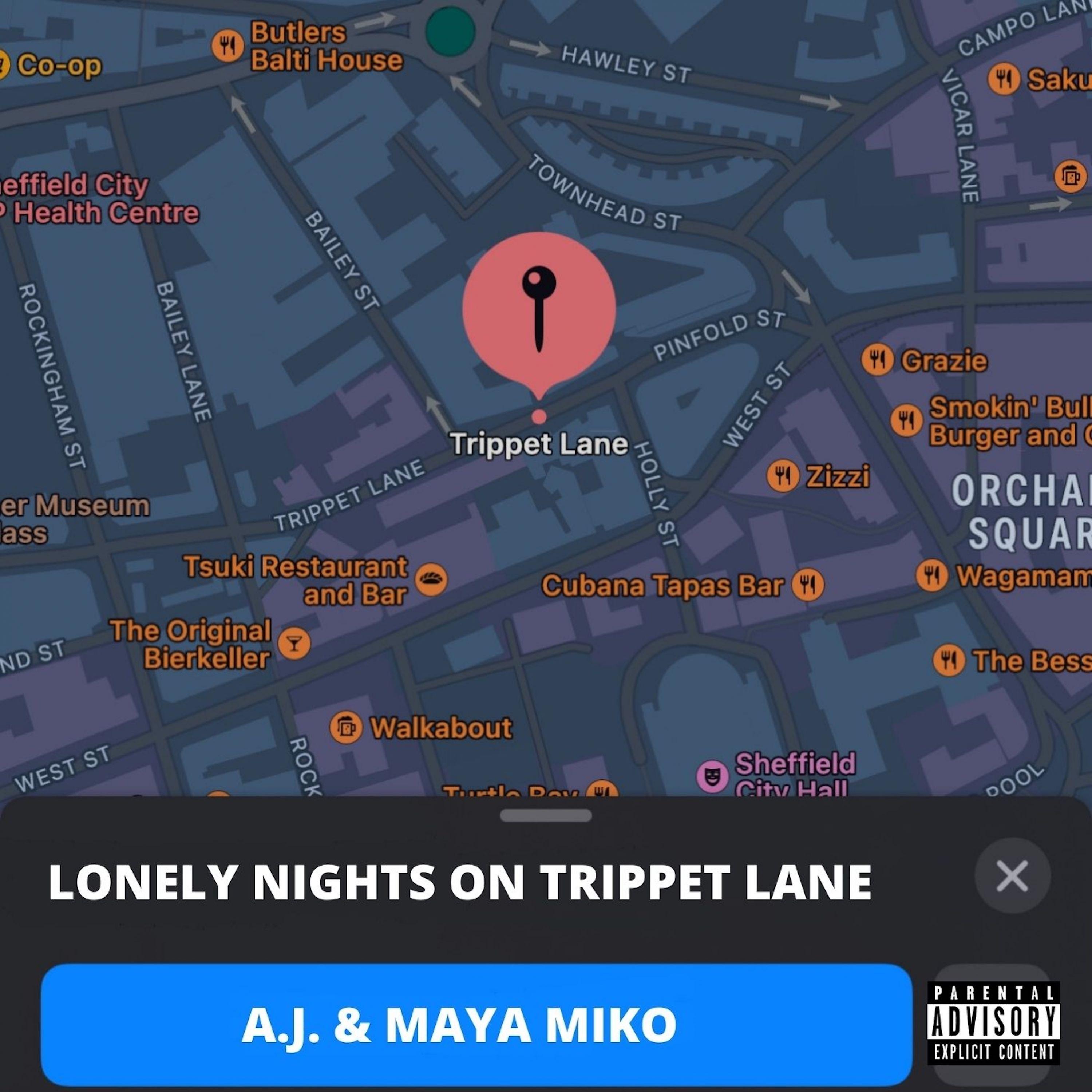 Постер альбома Lonely Nights on Trippet Lane