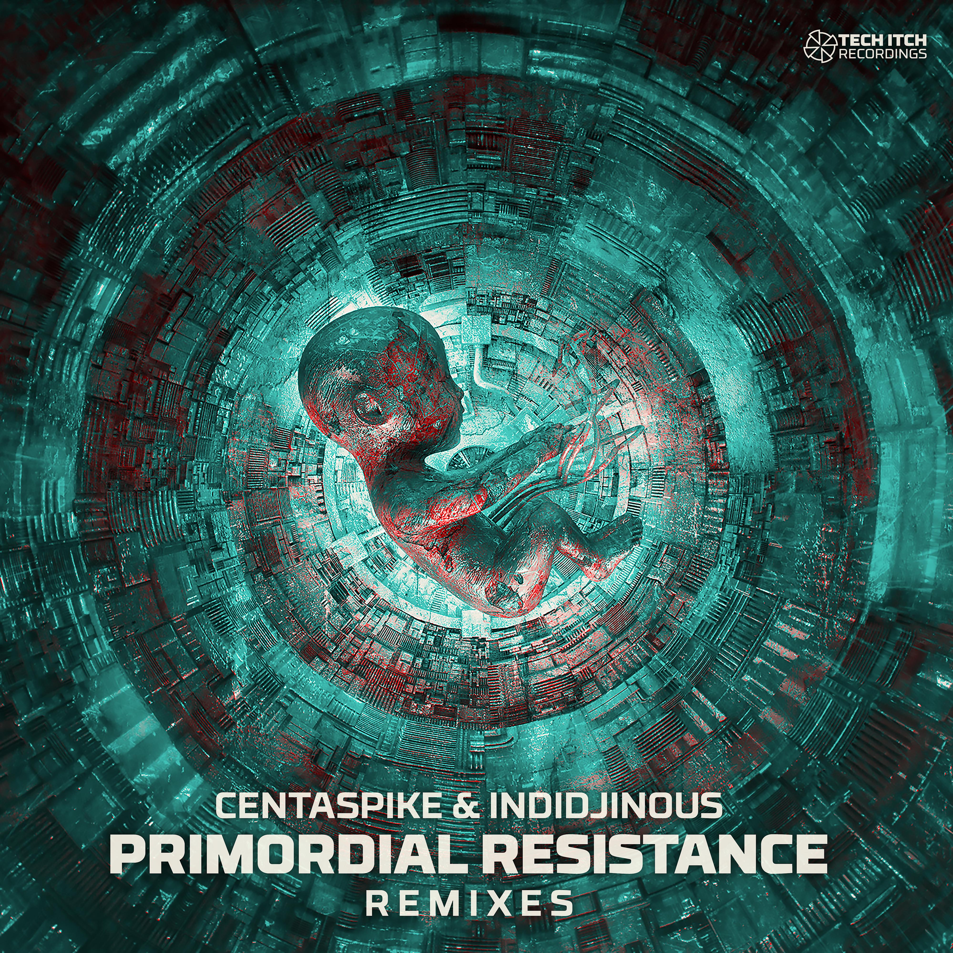 Постер альбома Primordial Resistance