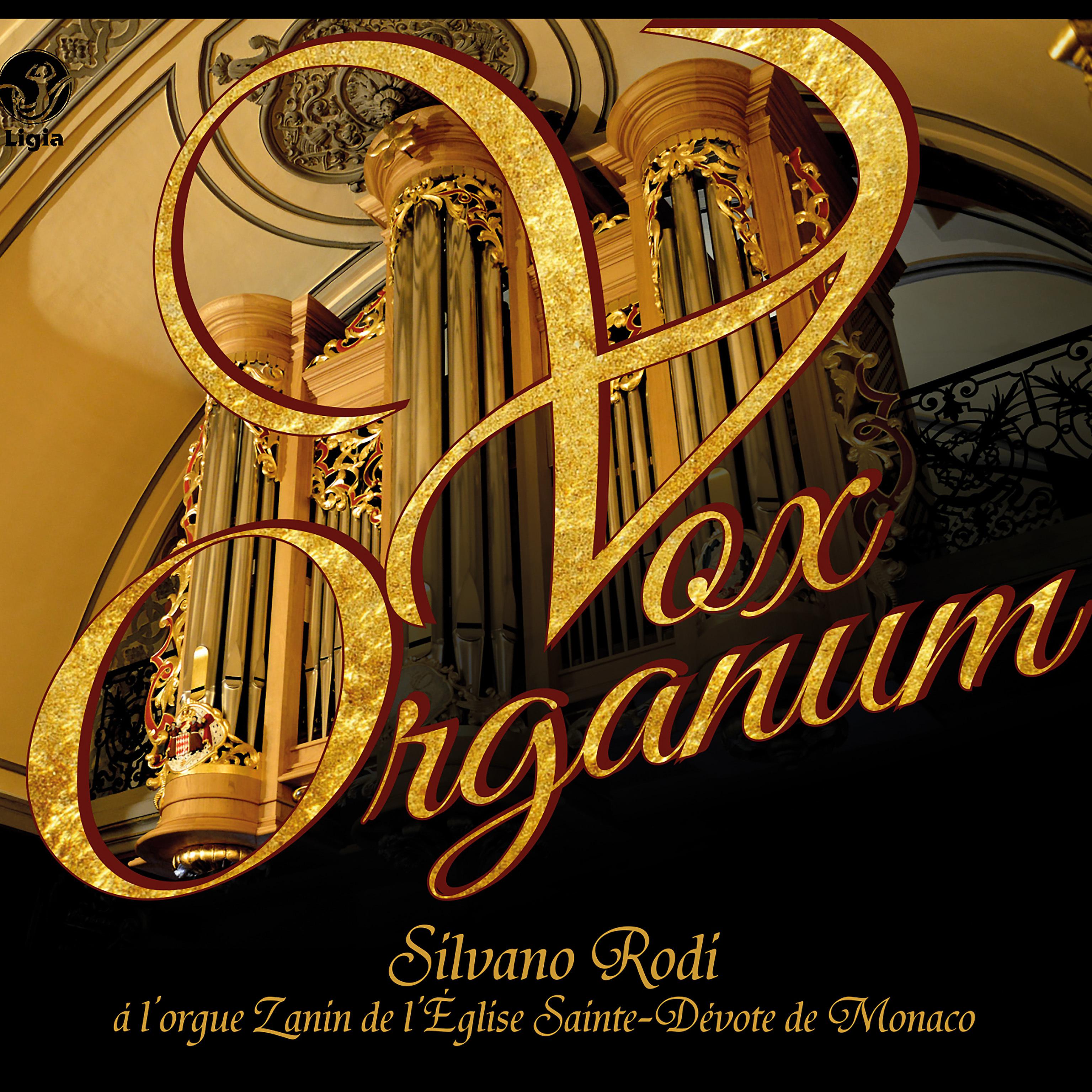 Постер альбома Vox Organum
