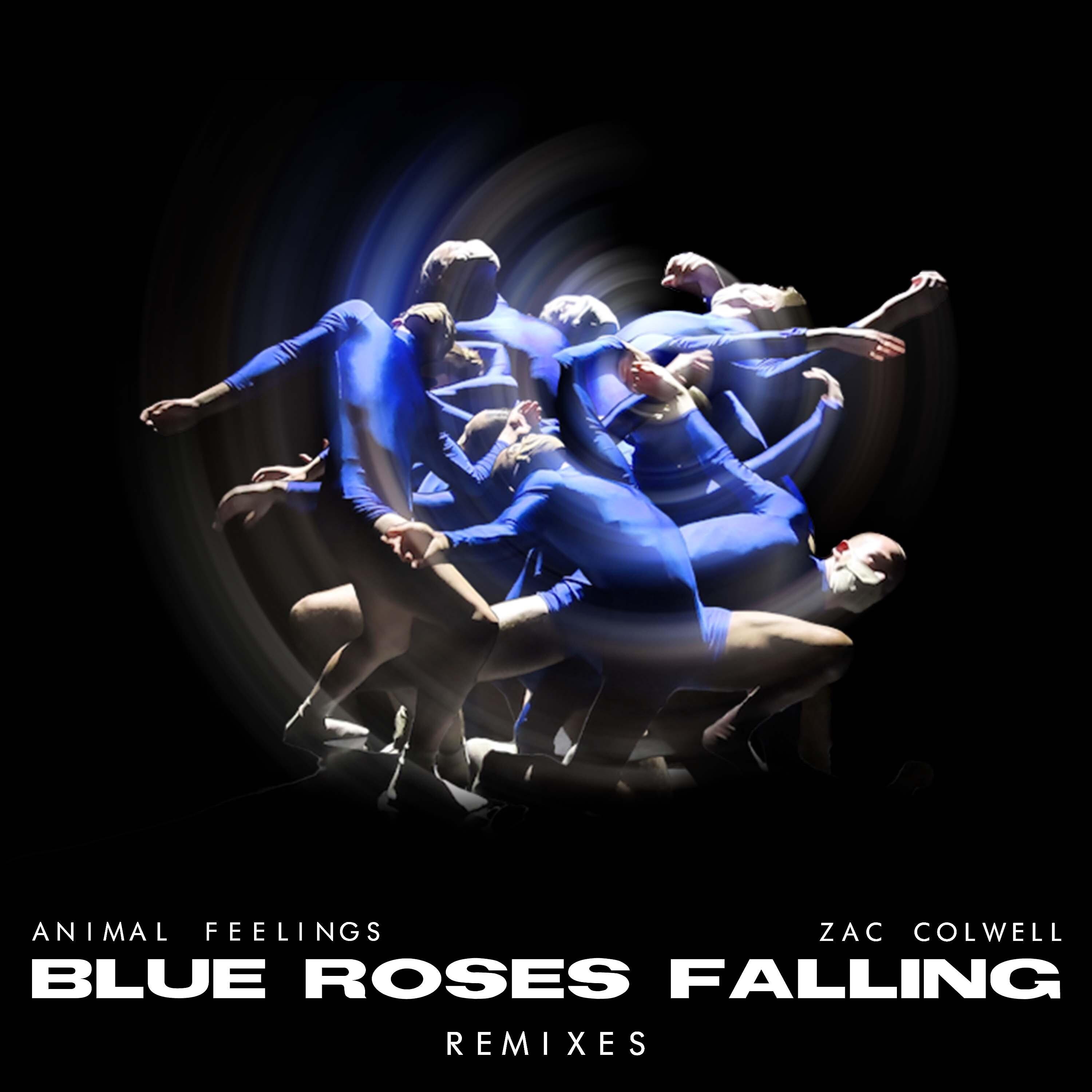 Постер альбома Blue Roses Falling