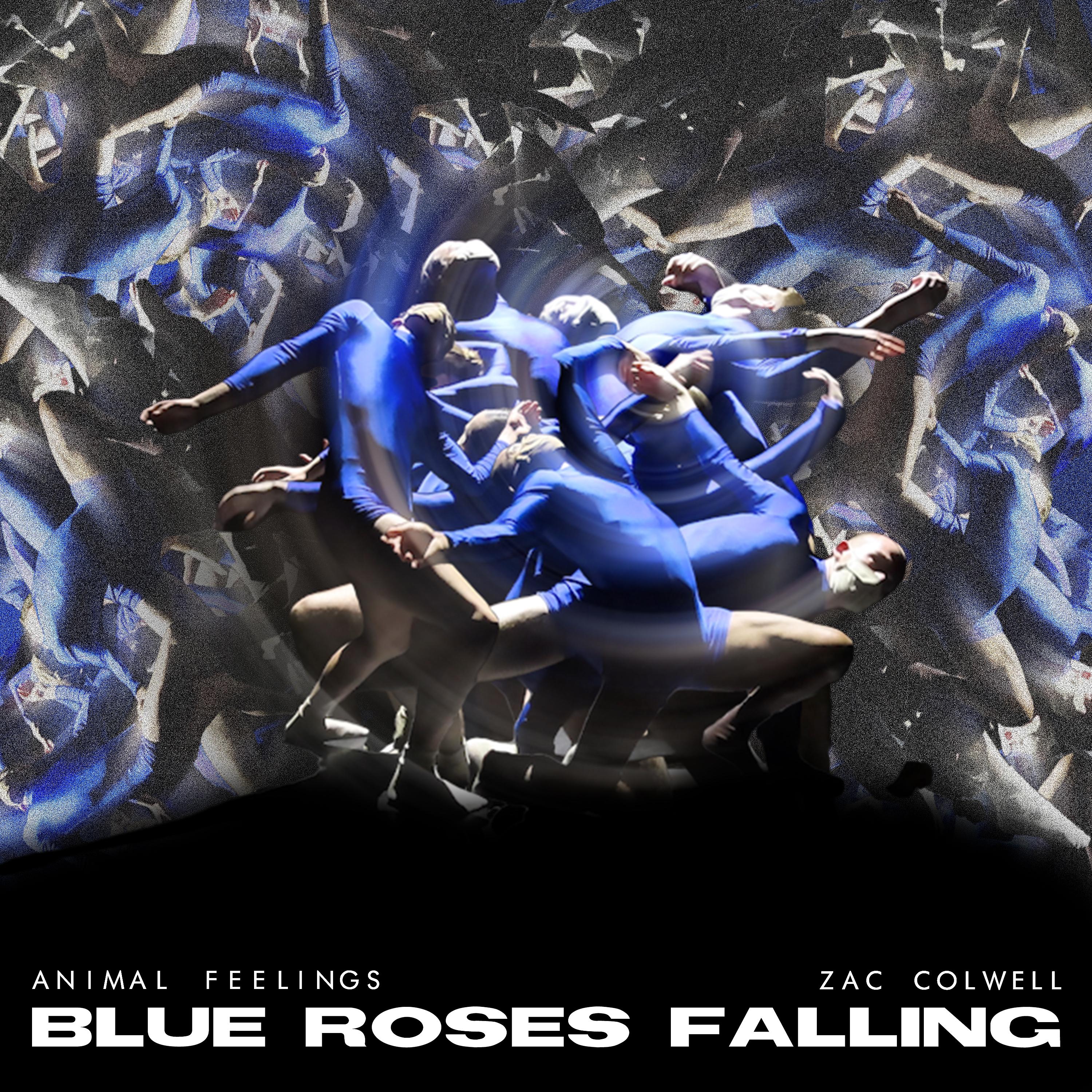 Постер альбома Blue Roses Falling