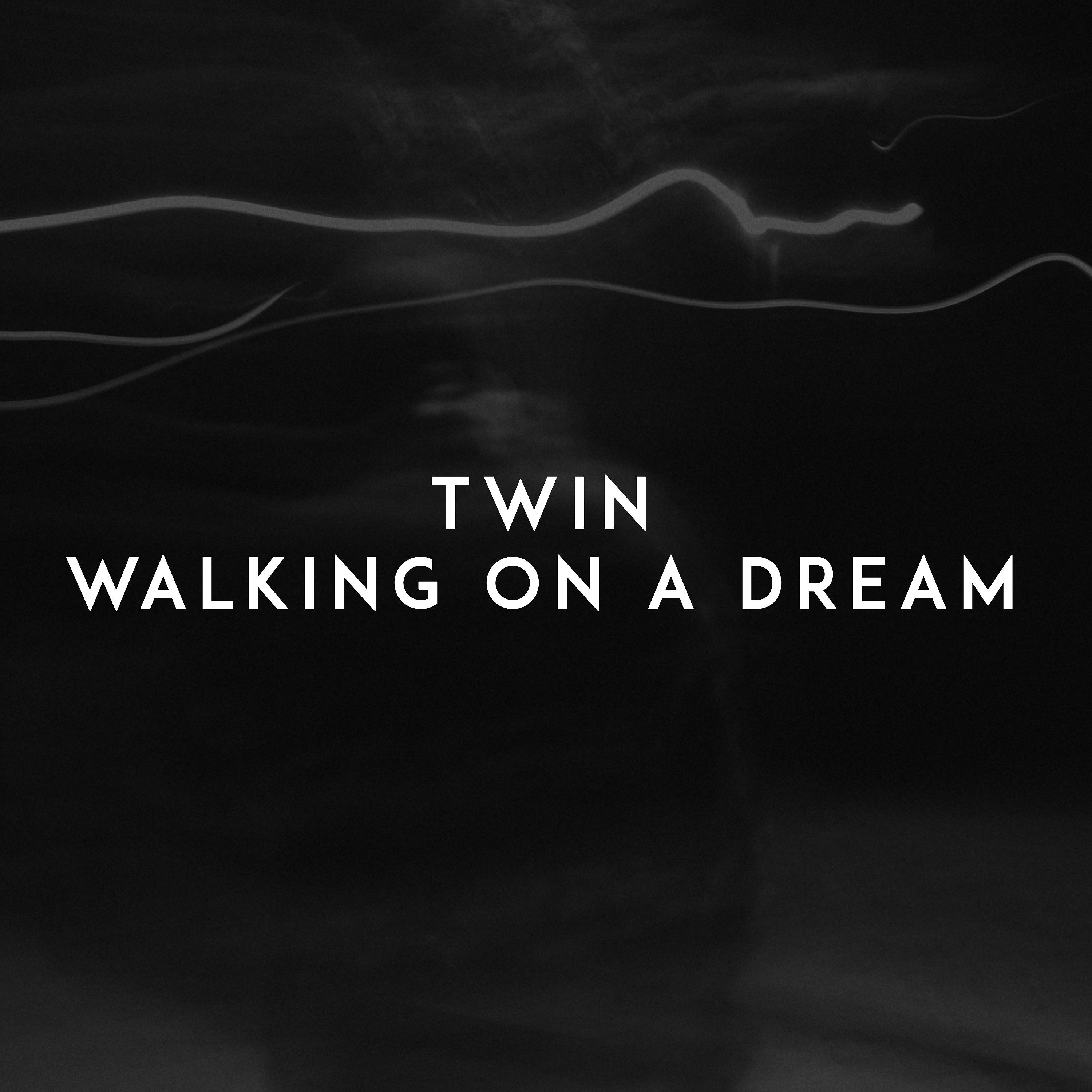 Постер альбома Walking on a Dream