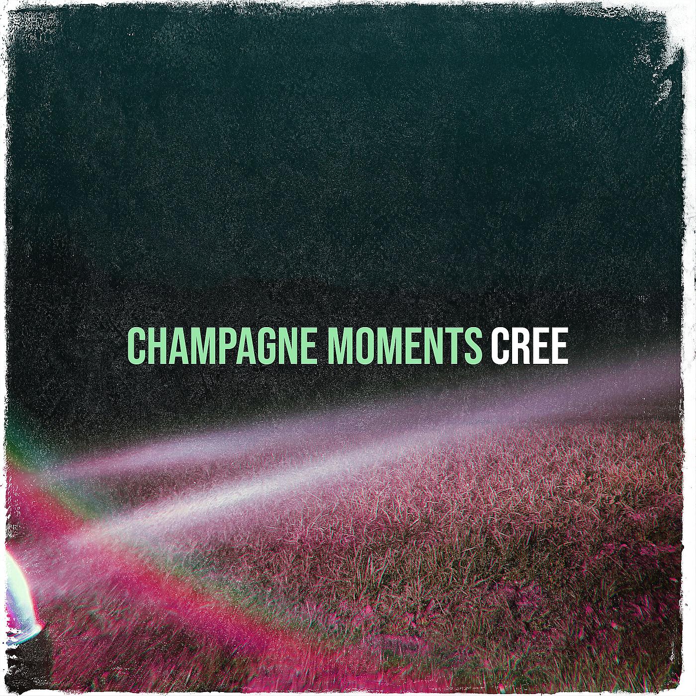 Постер альбома Champagne Moments