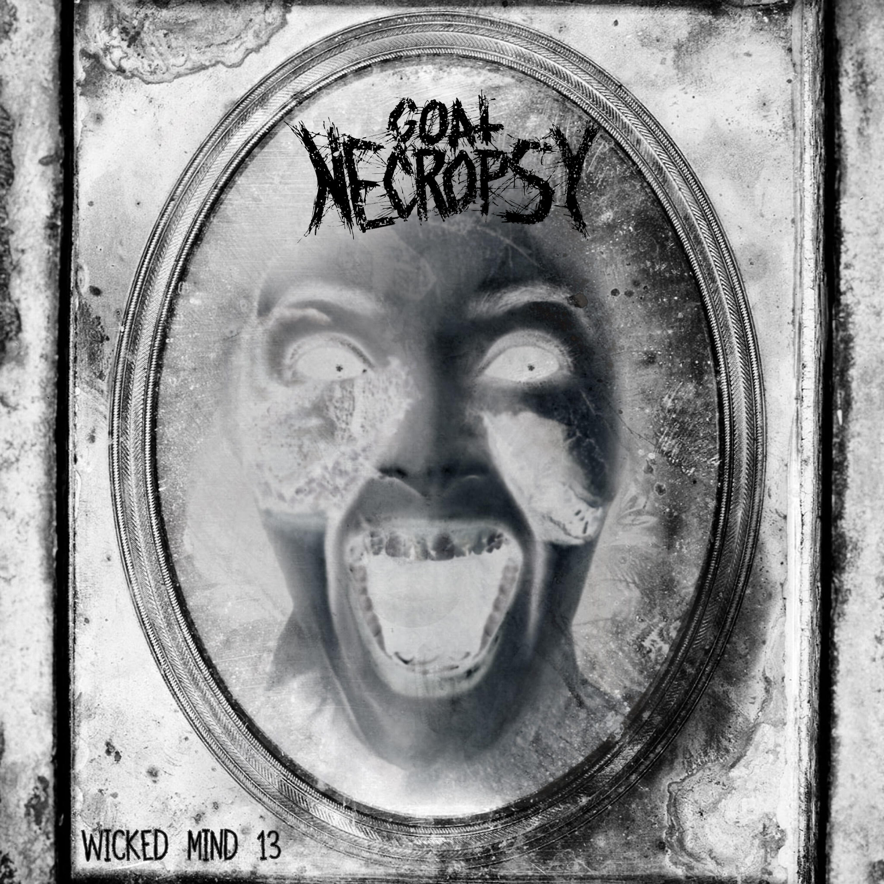 Goat Necropsy - Wicked Mind 13