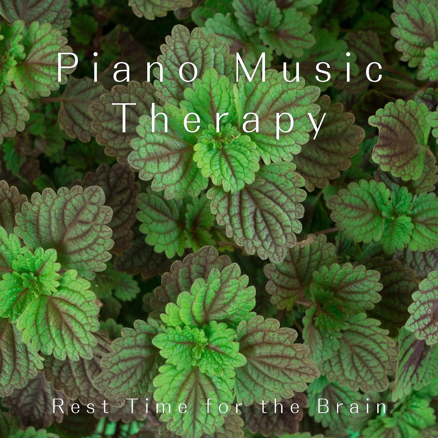 Постер альбома Piano Music Therapy - Rest Time for the Brain