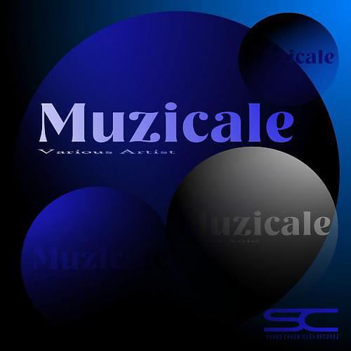 Deejay 2MI - Musical Feeling (Main Mix)