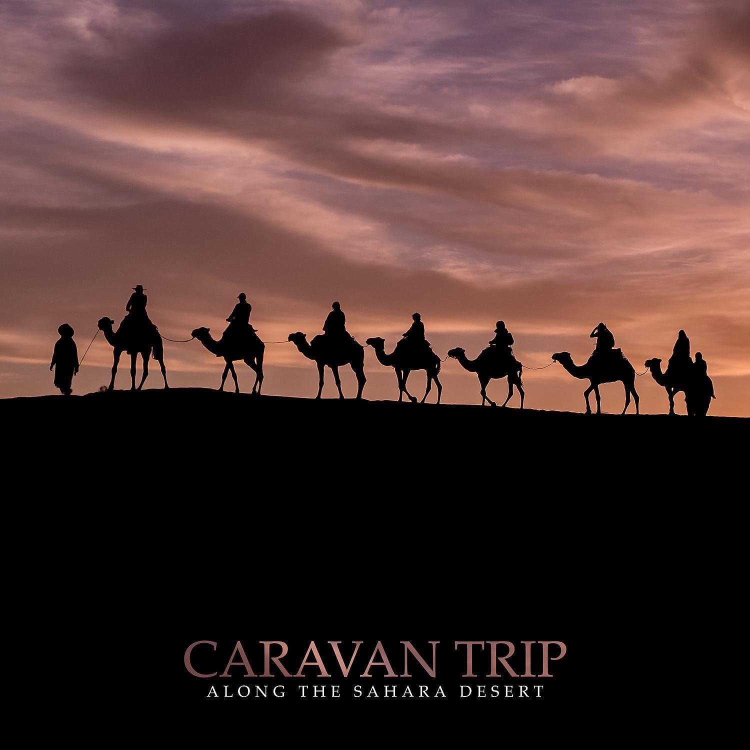 Постер альбома Caravan Trip Along the Sahara Desert