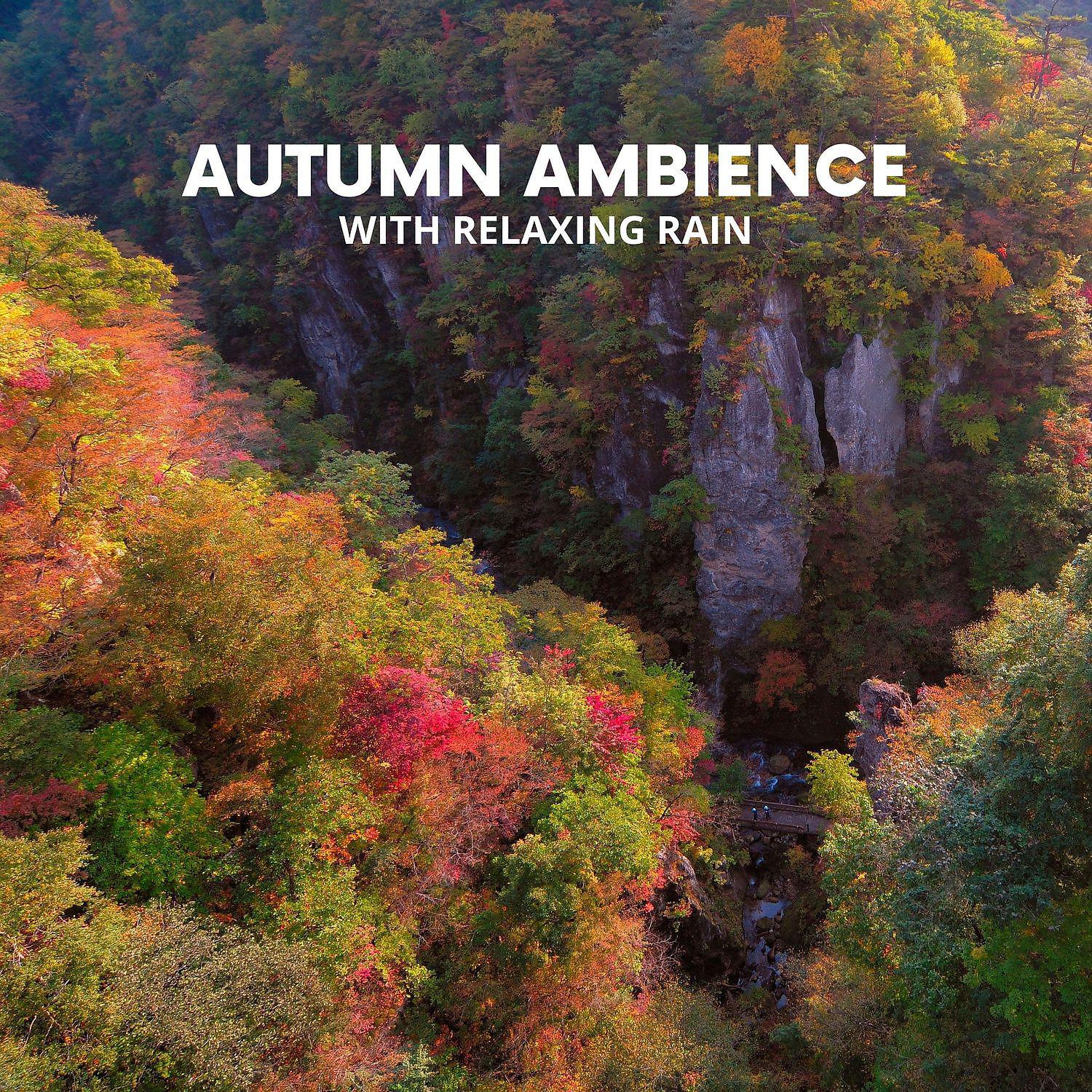 Постер альбома Autumn Ambience with Relaxing Rain - Soothing Music for Stress Relief, Healing Meditation, Massage, Spa