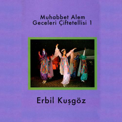 Постер альбома Muhabbet Alem Geceleri Çiftetellisi, Vol. 1