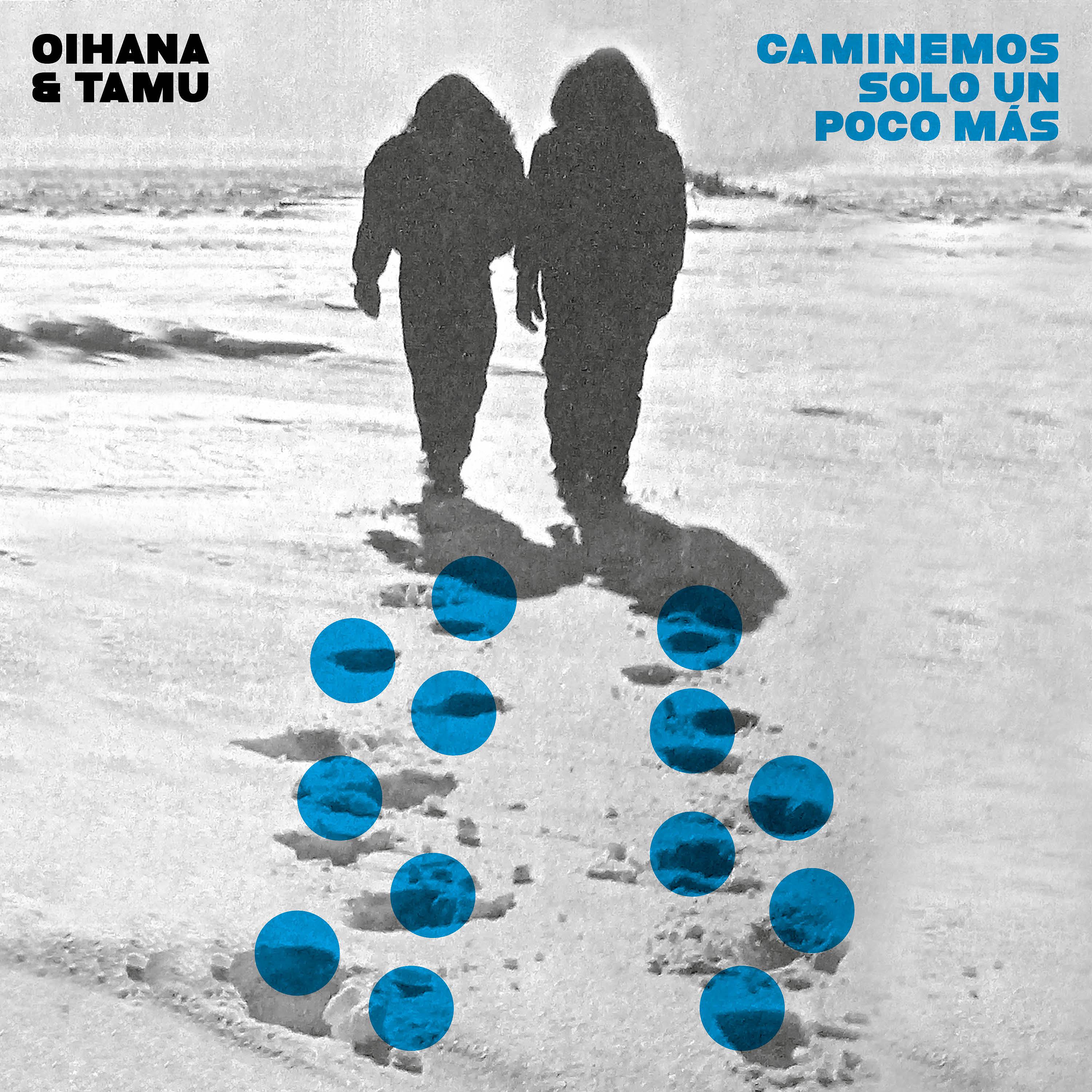Постер альбома Caminemos Solo un Poco Más