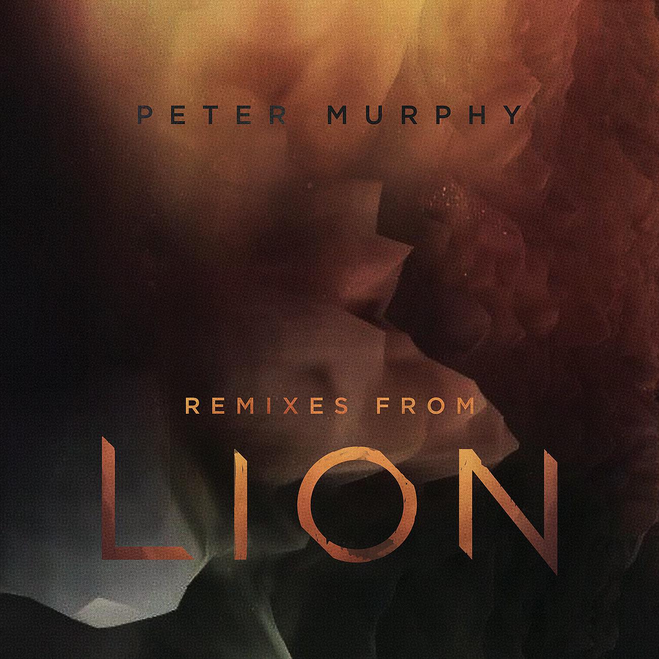 Постер альбома Remixes from Lion