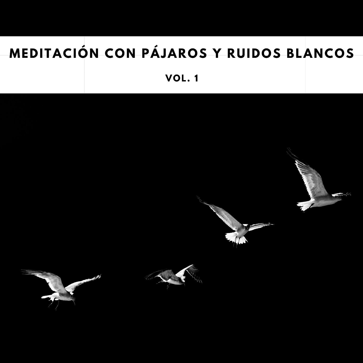 Ruido Blanco Tranquilo - Villancicos