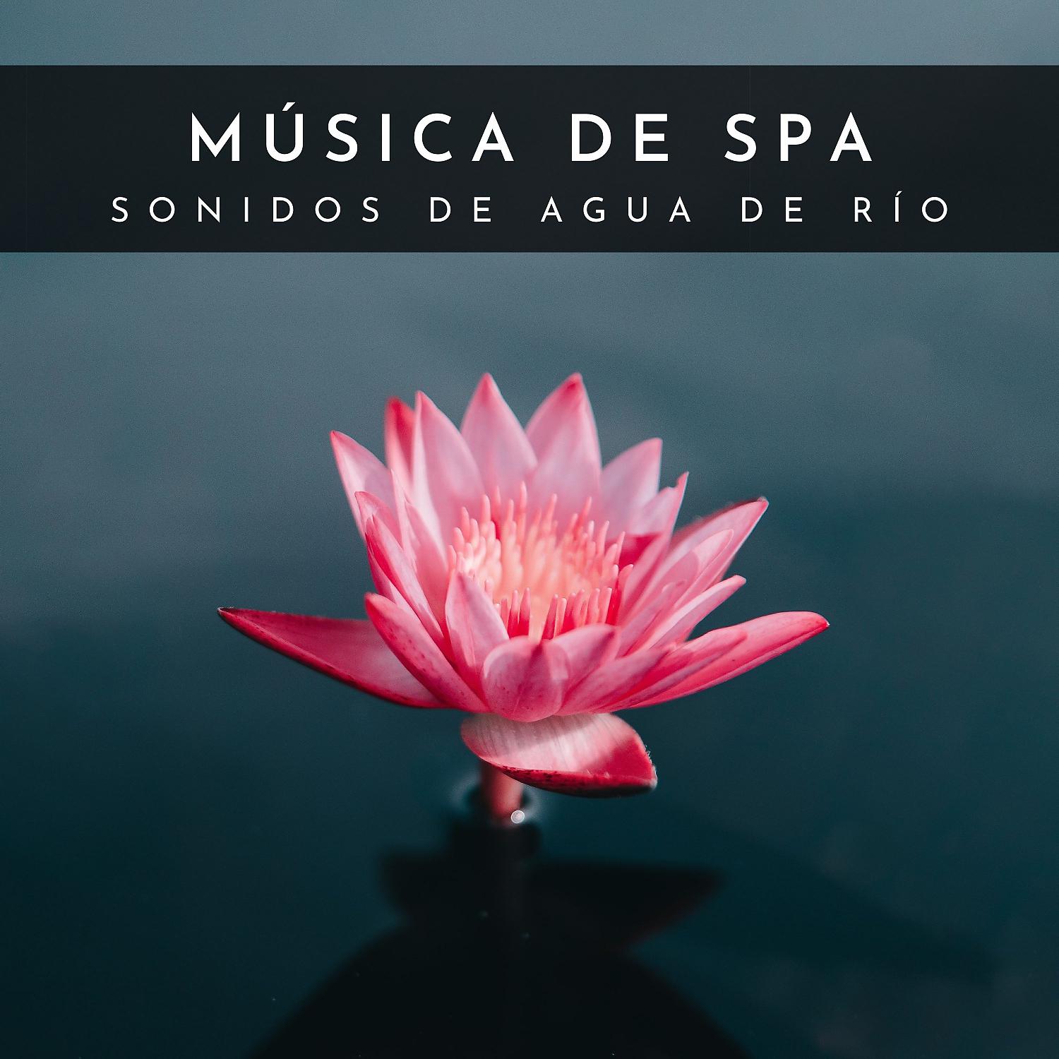 Постер альбома Música De Spa: Sonidos De Agua De Río