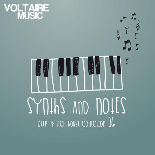 Постер альбома Synths and Notes 16