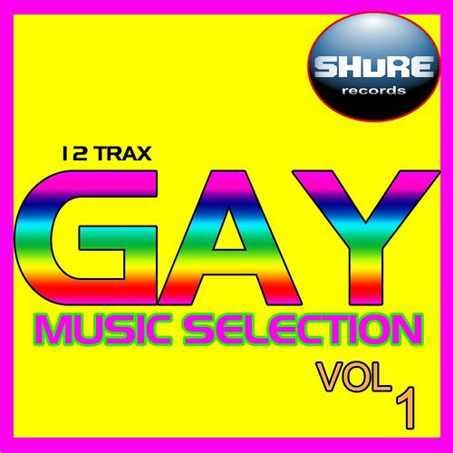 Постер альбома Gay Music Selection, Vol. 1