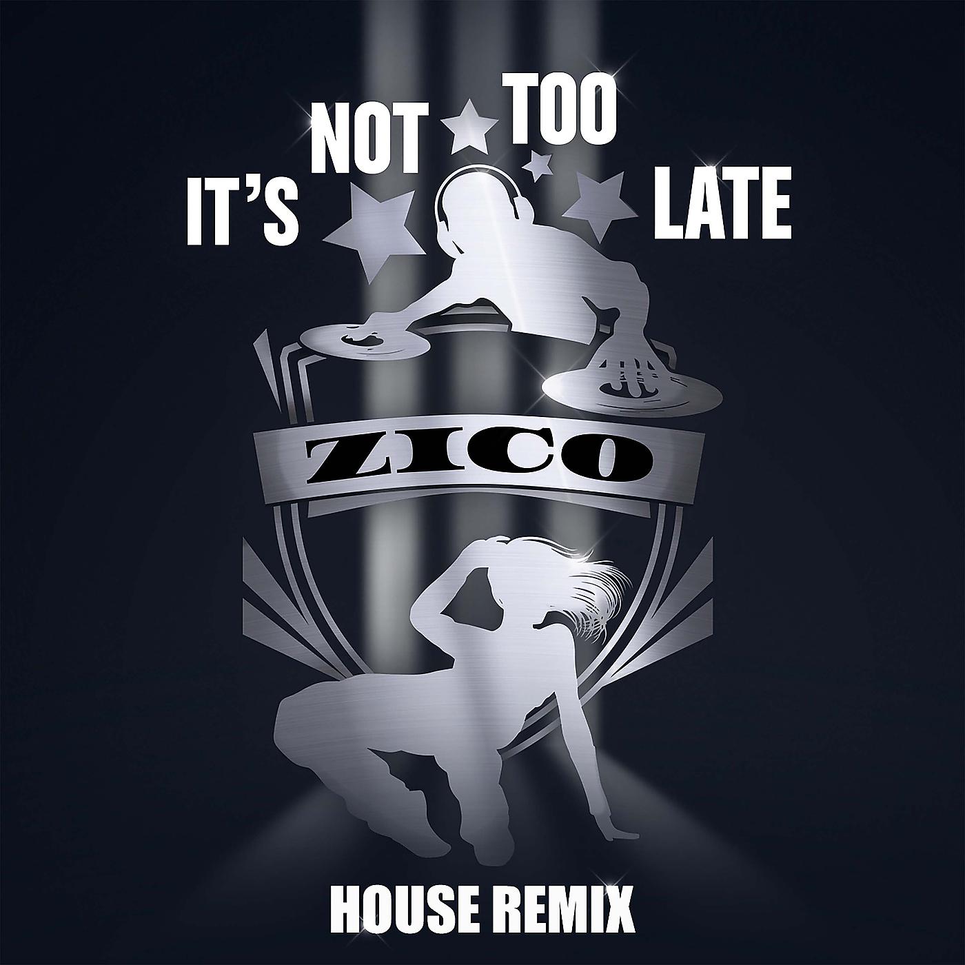 Постер альбома It's Not Too Late (House Remix)