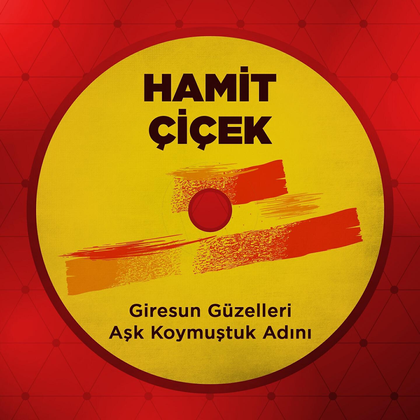 Hamit Çiçek - Sebebi Oldu Vize