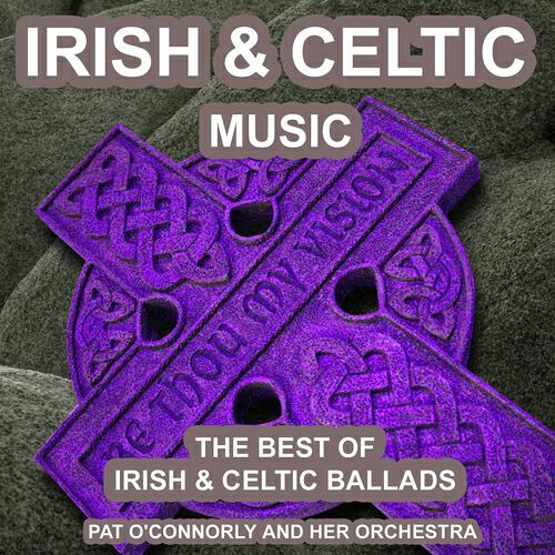 Pat O'Connorly and His Orchestra - Fergus River