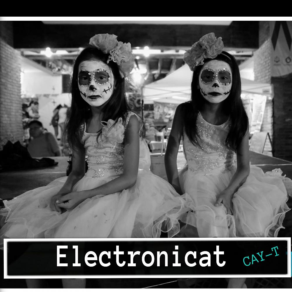 Постер альбома Electronicat