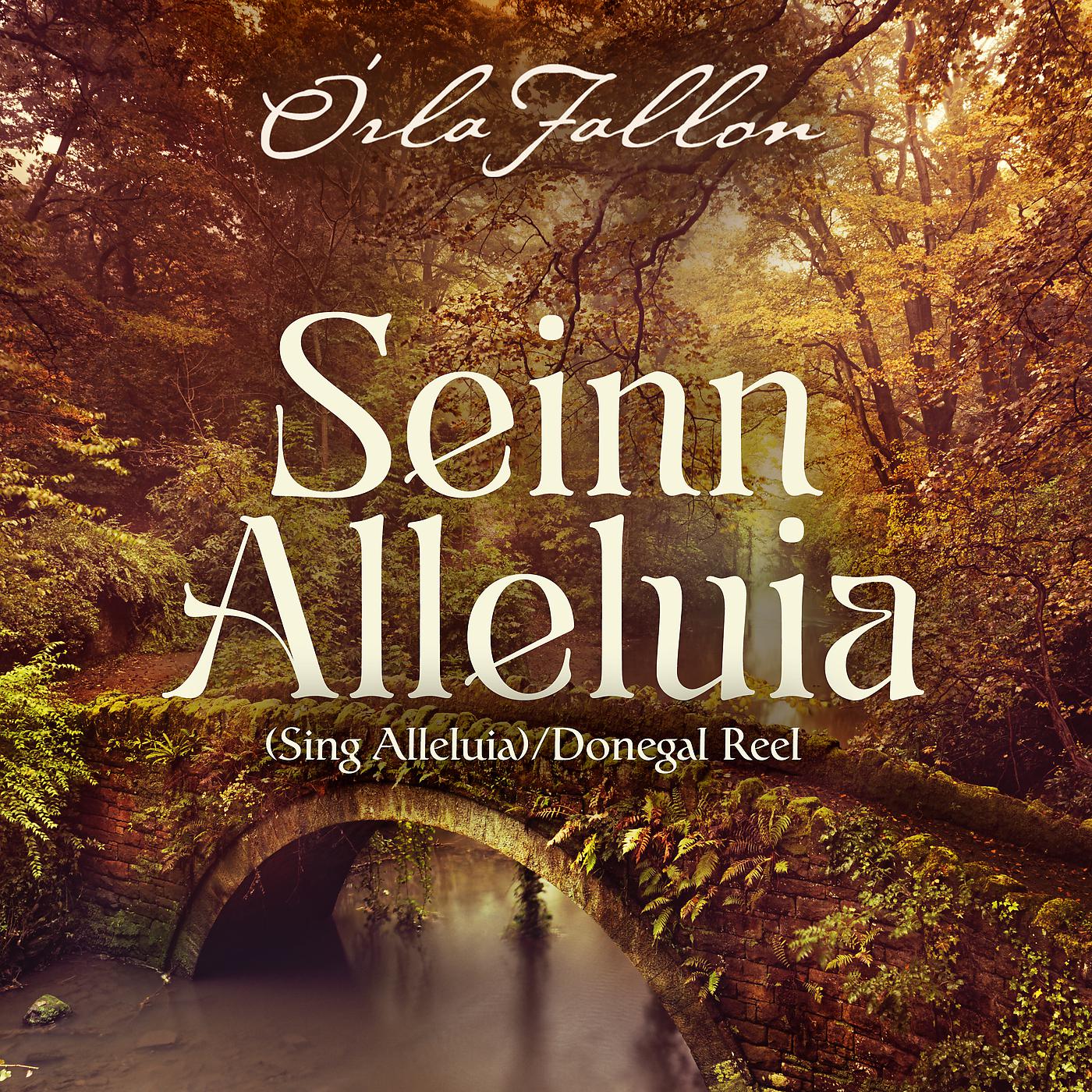Постер альбома Seinn Alleluia/Donegal Reel  