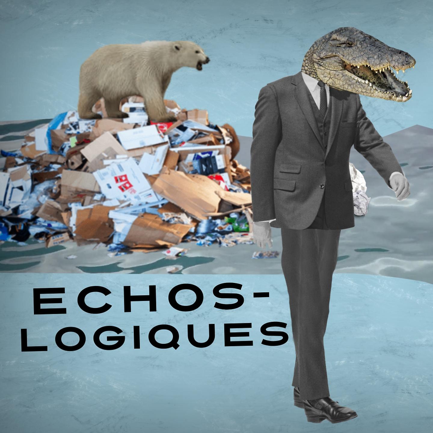 Постер альбома Echos-logiques
