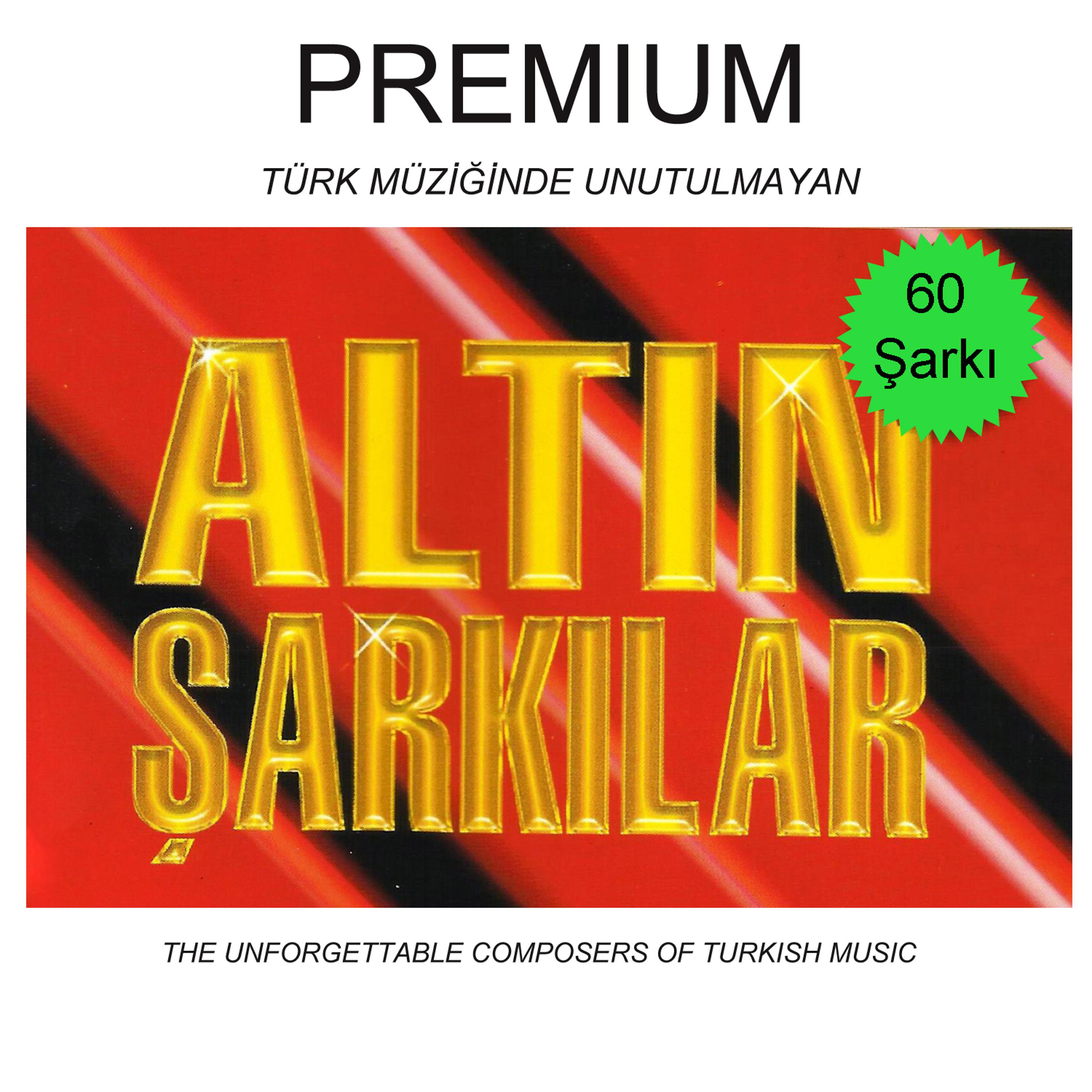 Постер альбома Altın Şarkılar, Vol. 2