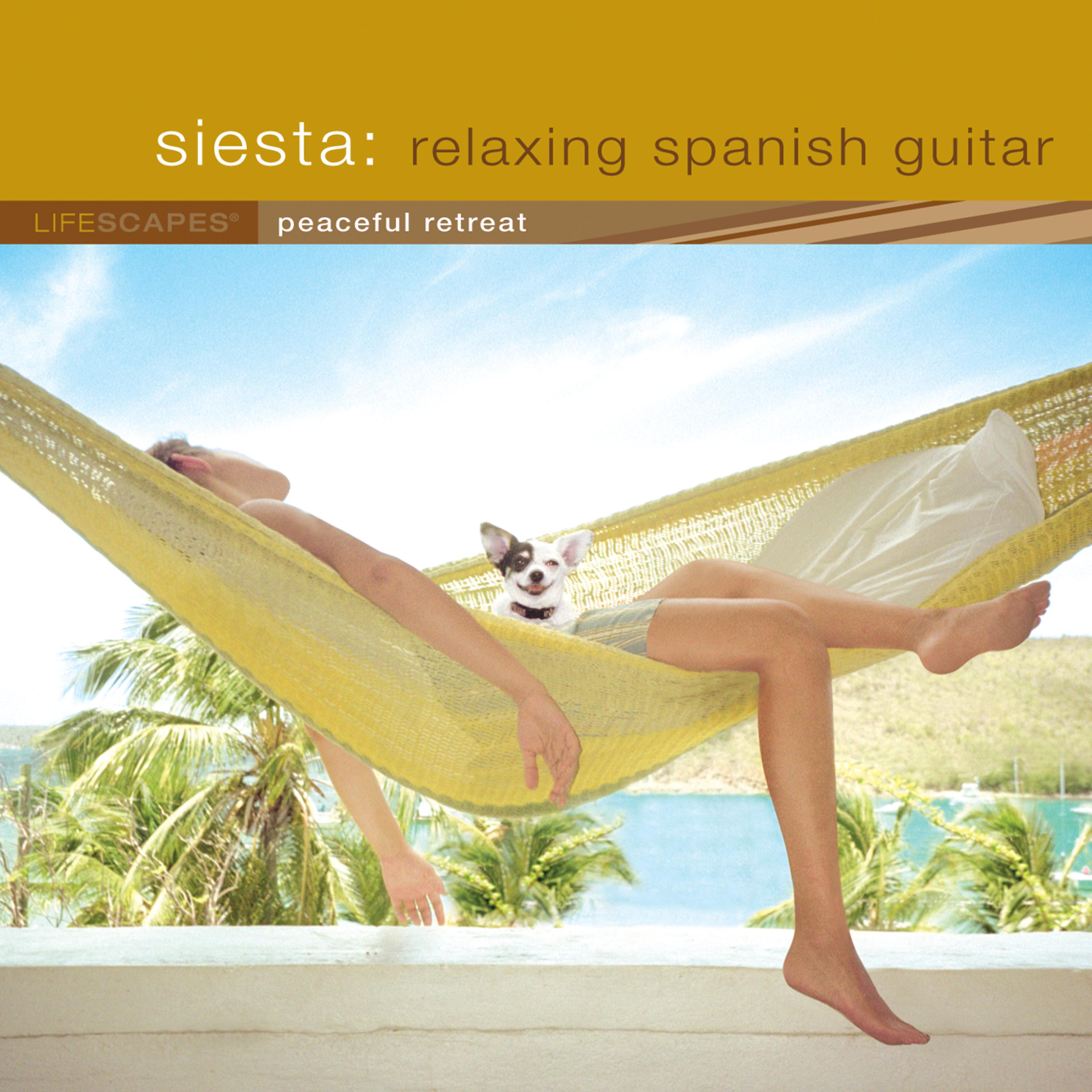 Постер альбома Siesta: Relaxing Spanish Guitar